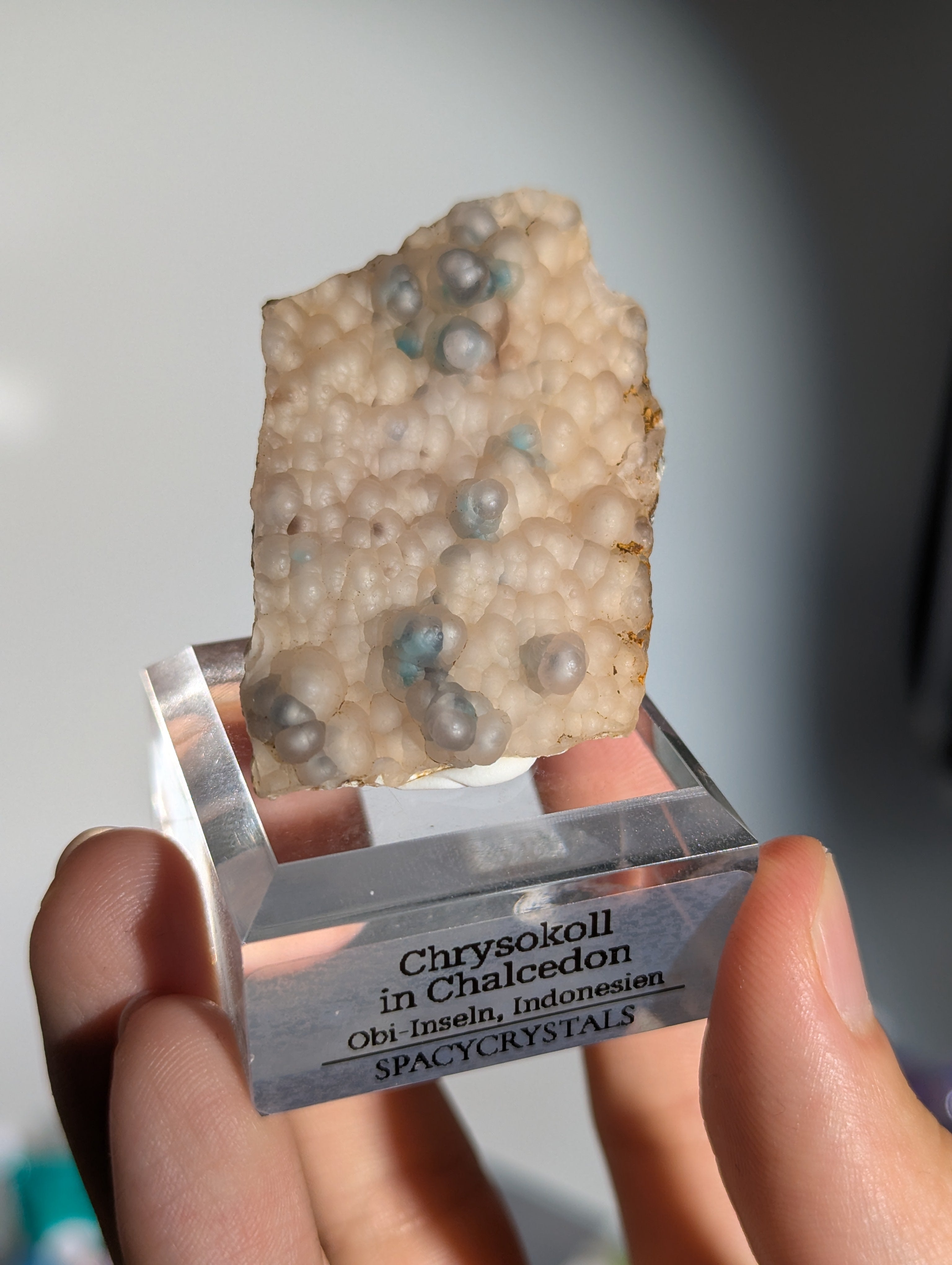 Neufund! Chrysokoll in Chalcedon aus Indonesien