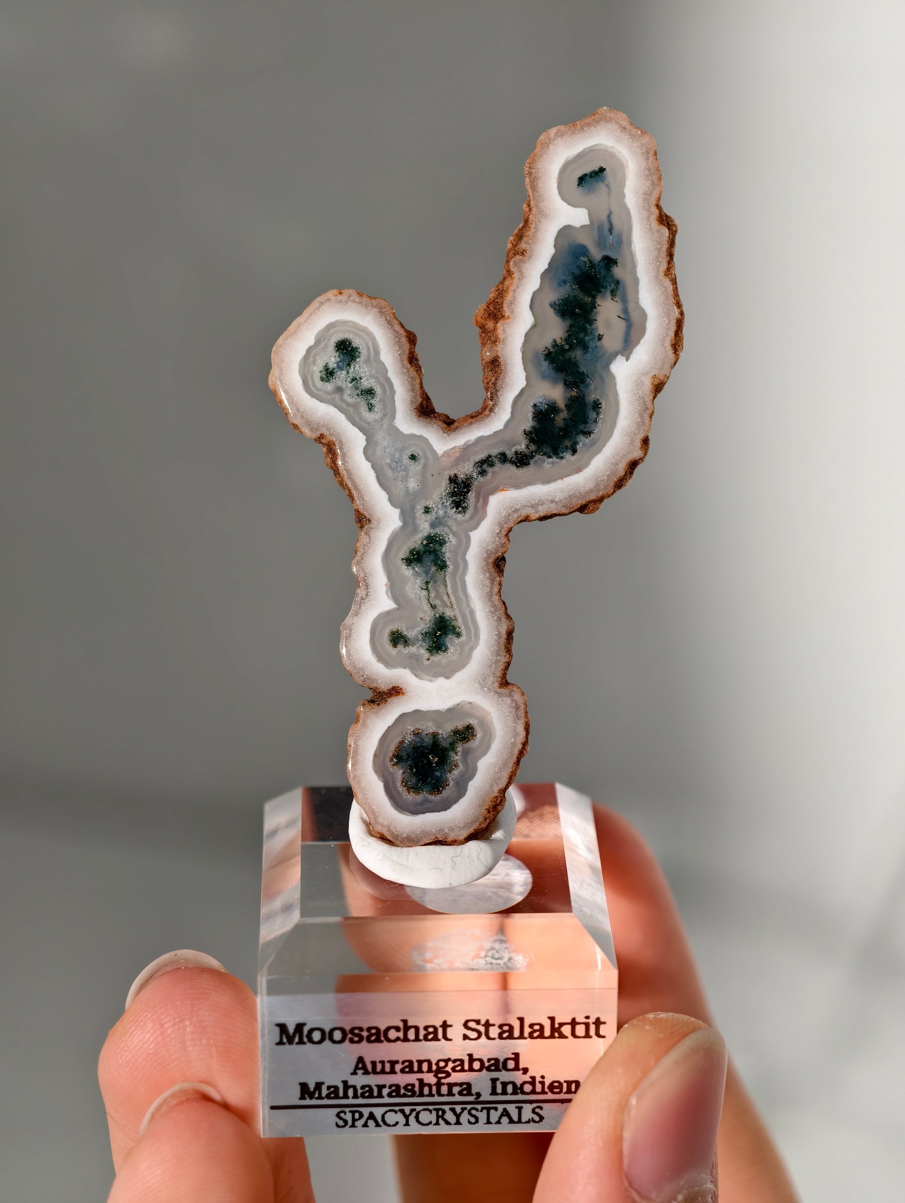 Moosachat Stalaktit Scheiben aus Indien (größer)