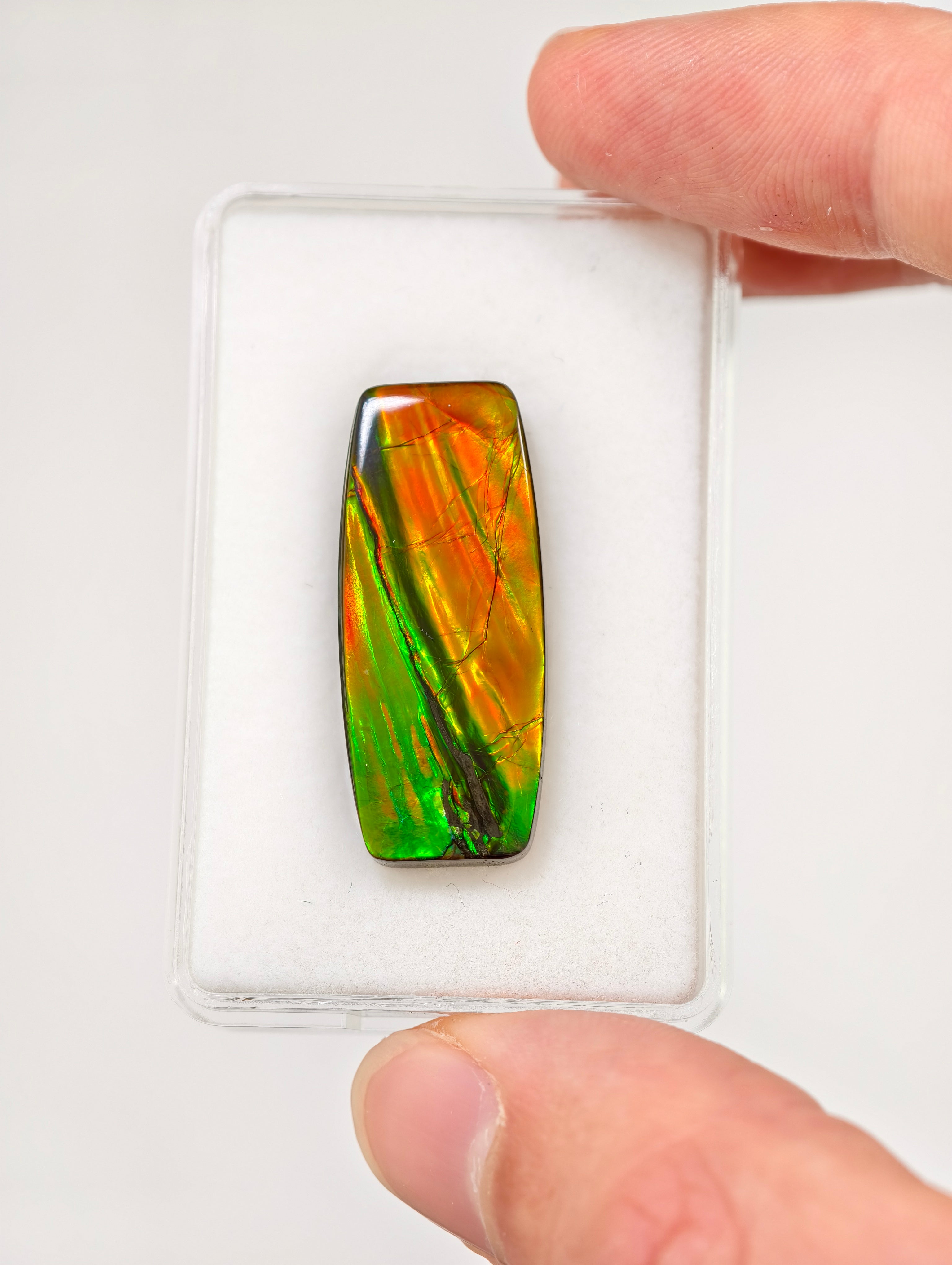 Ammolit Cabochons aus Kanada (TOP QUALITÄT)