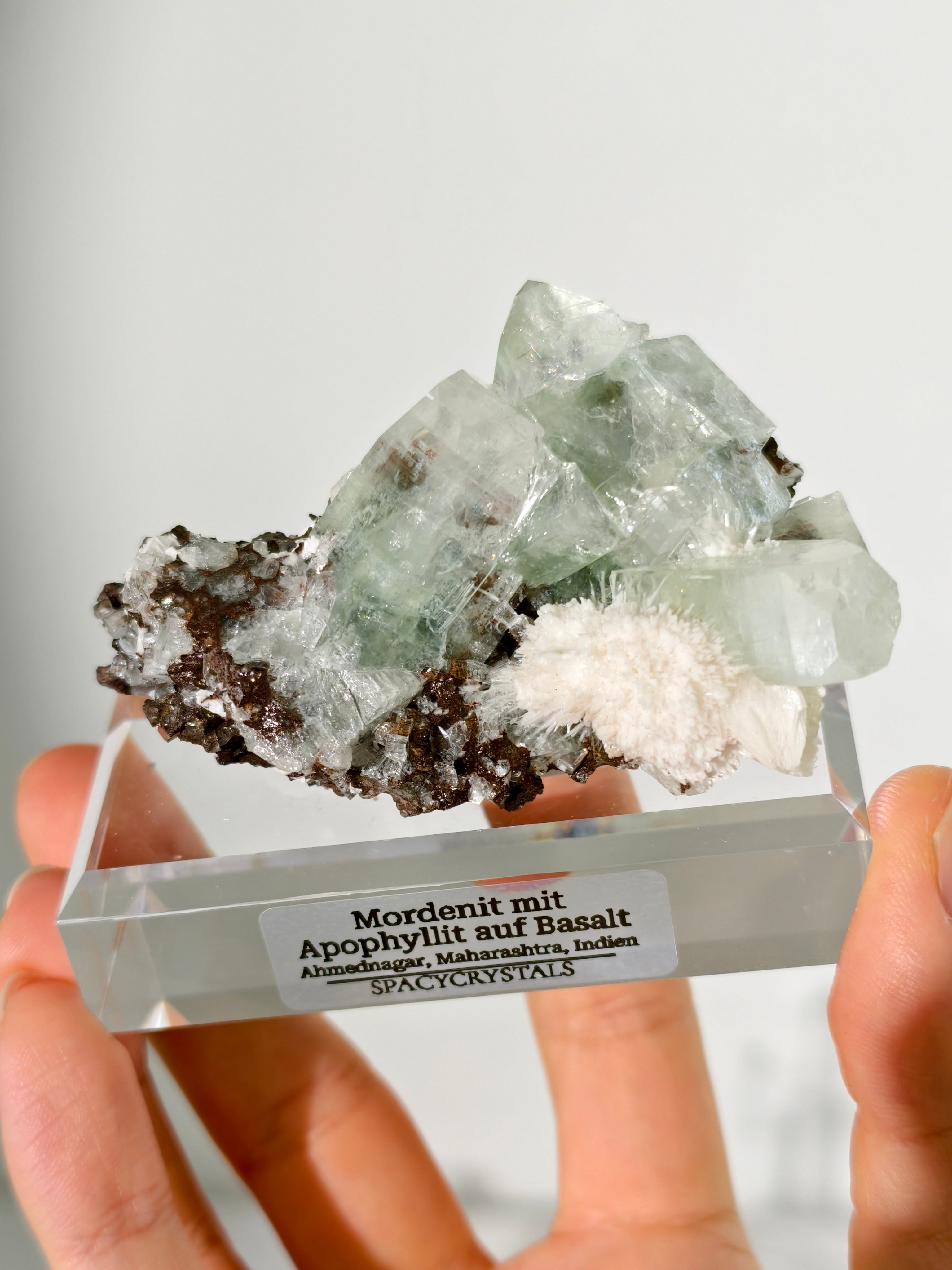 Mordenit mit Apophyllit auf Basalt aus Indien