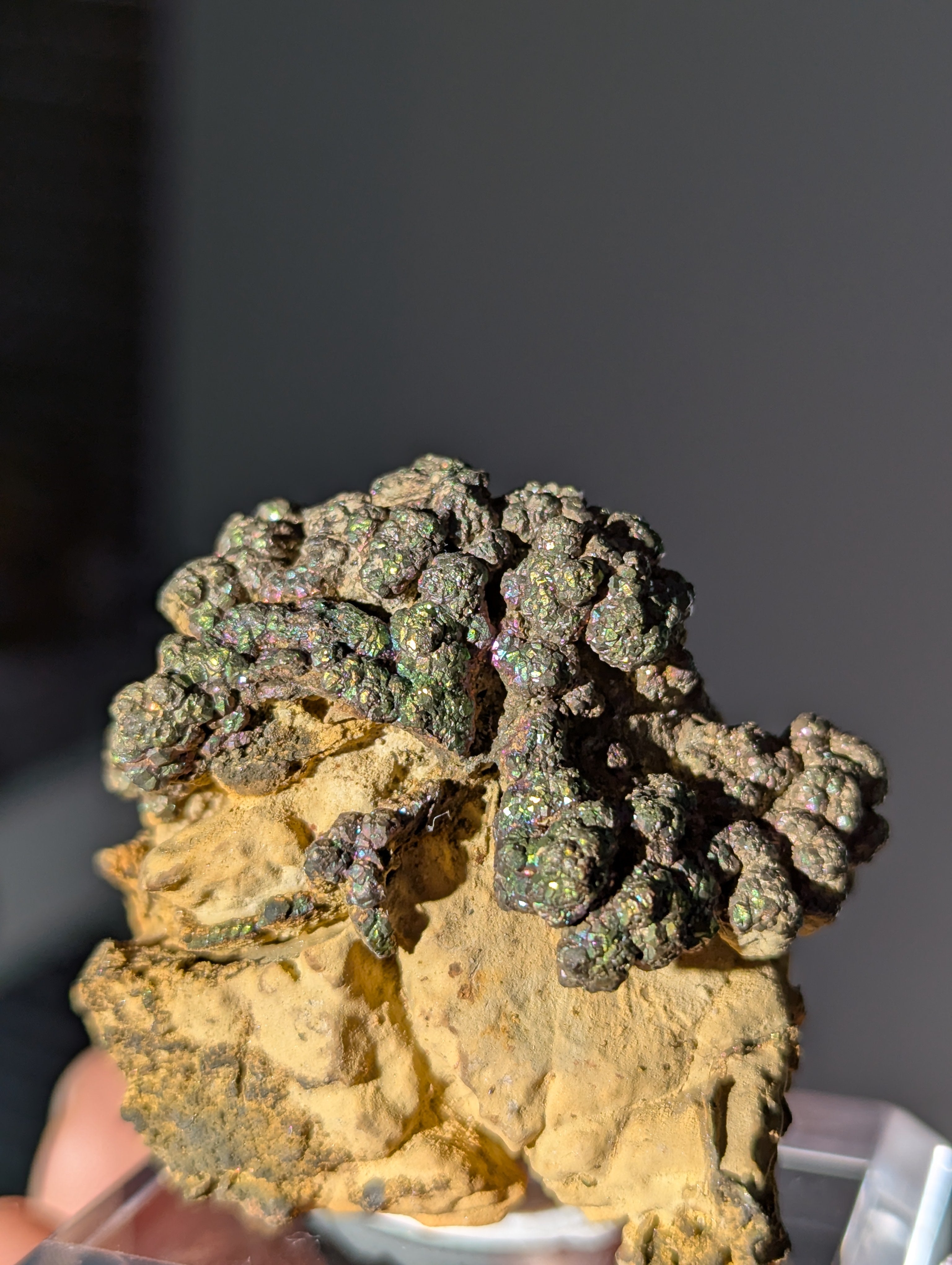 Irisierender Pyrit "Bonsai" auf Limonit