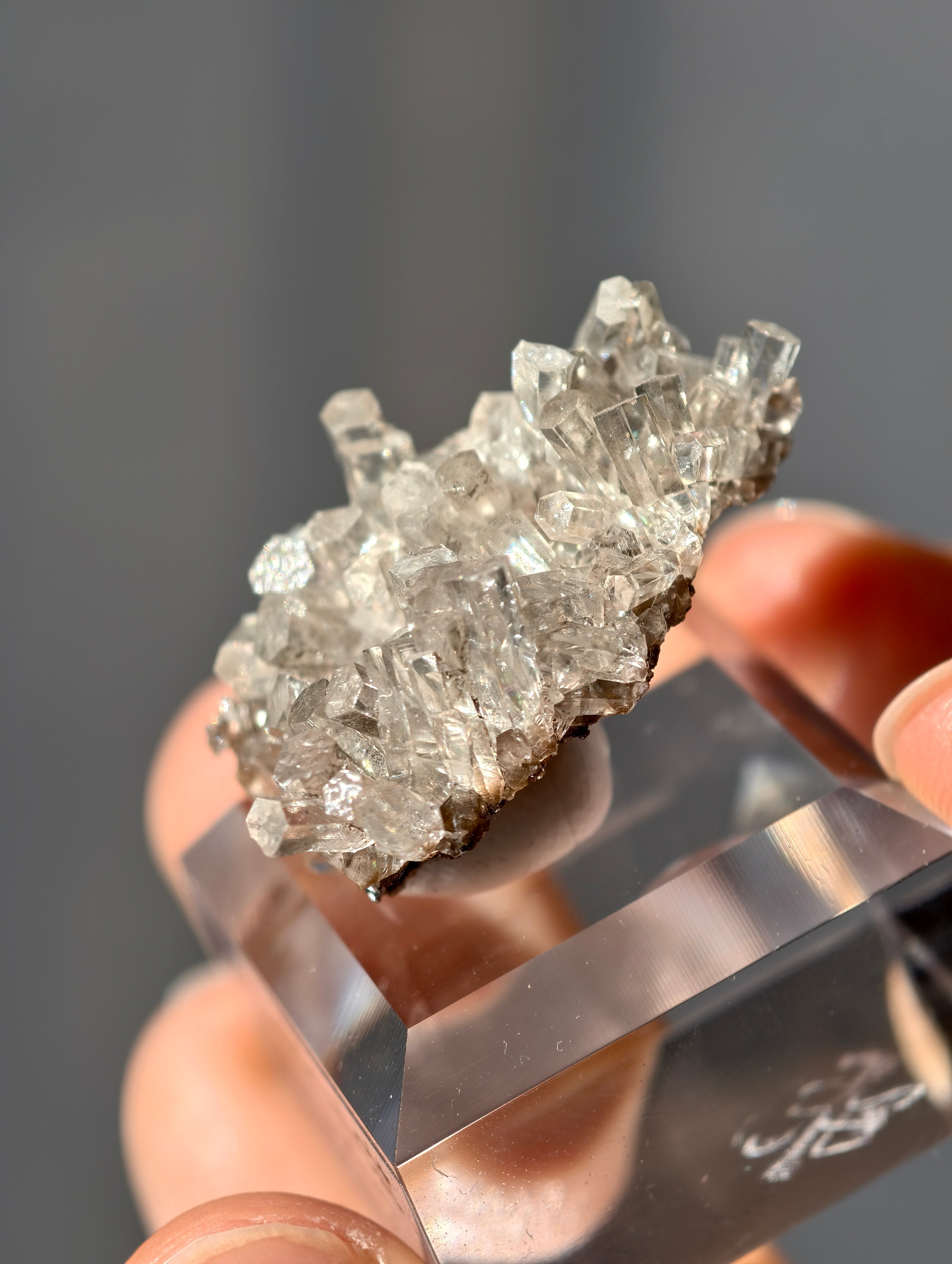 seltener Säulencalcit - Columnar Calcite
