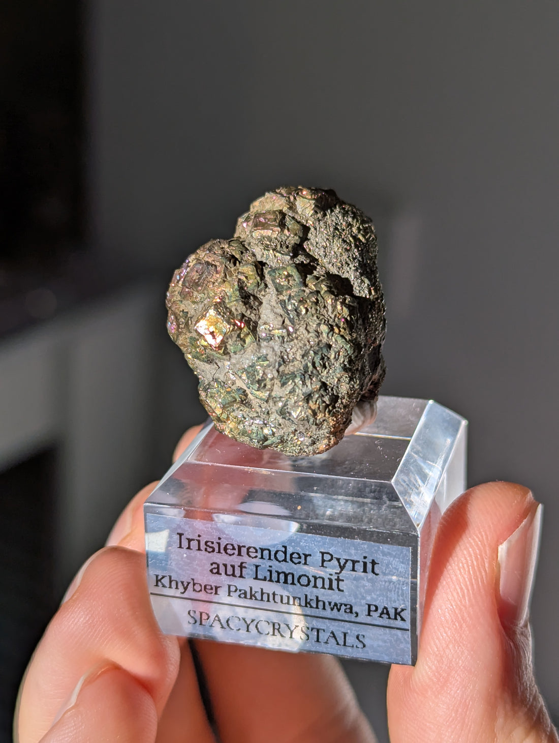 Irisierender Pyrit auf Limonit