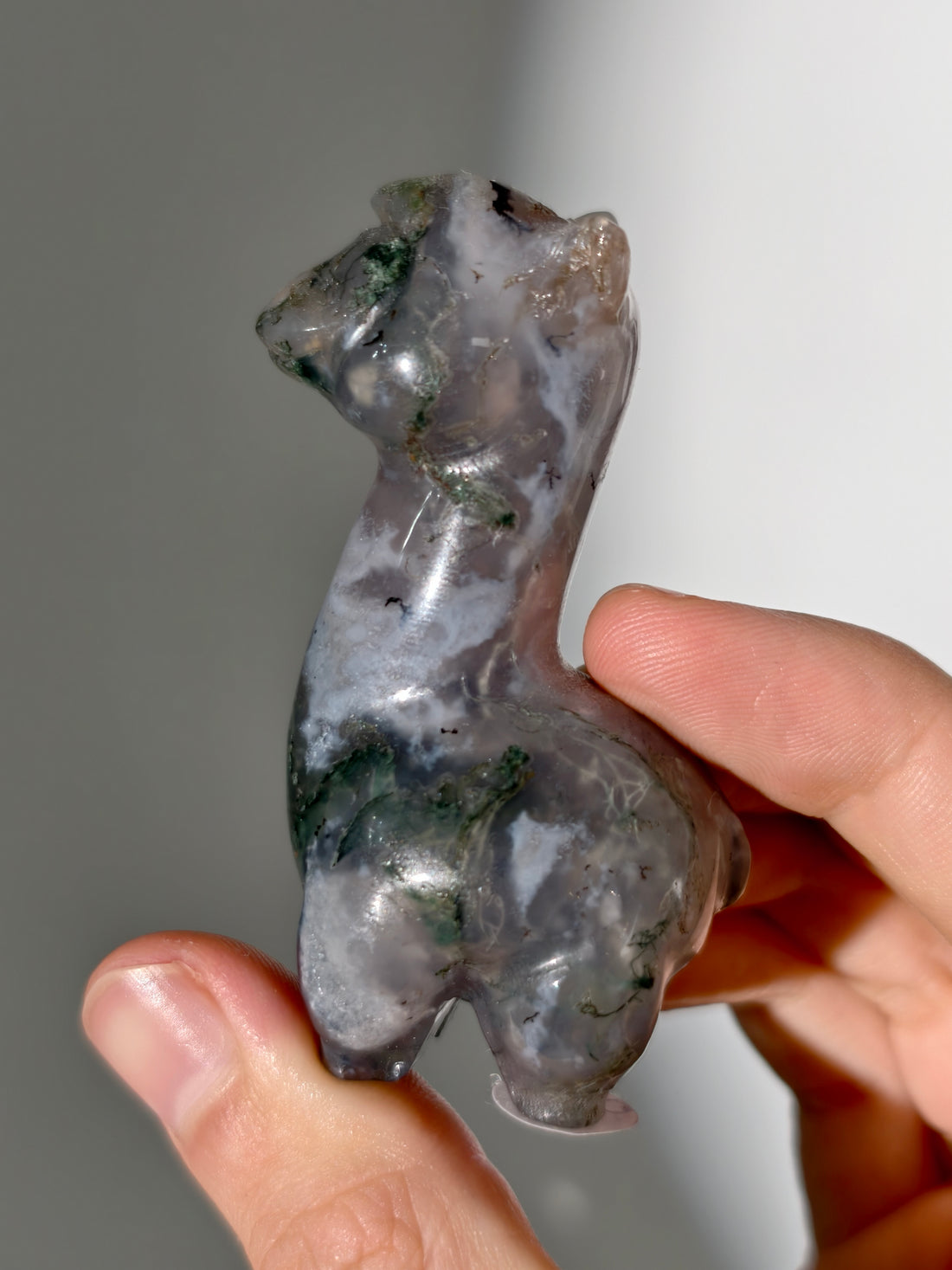 Moosachat Alpaka 🦙