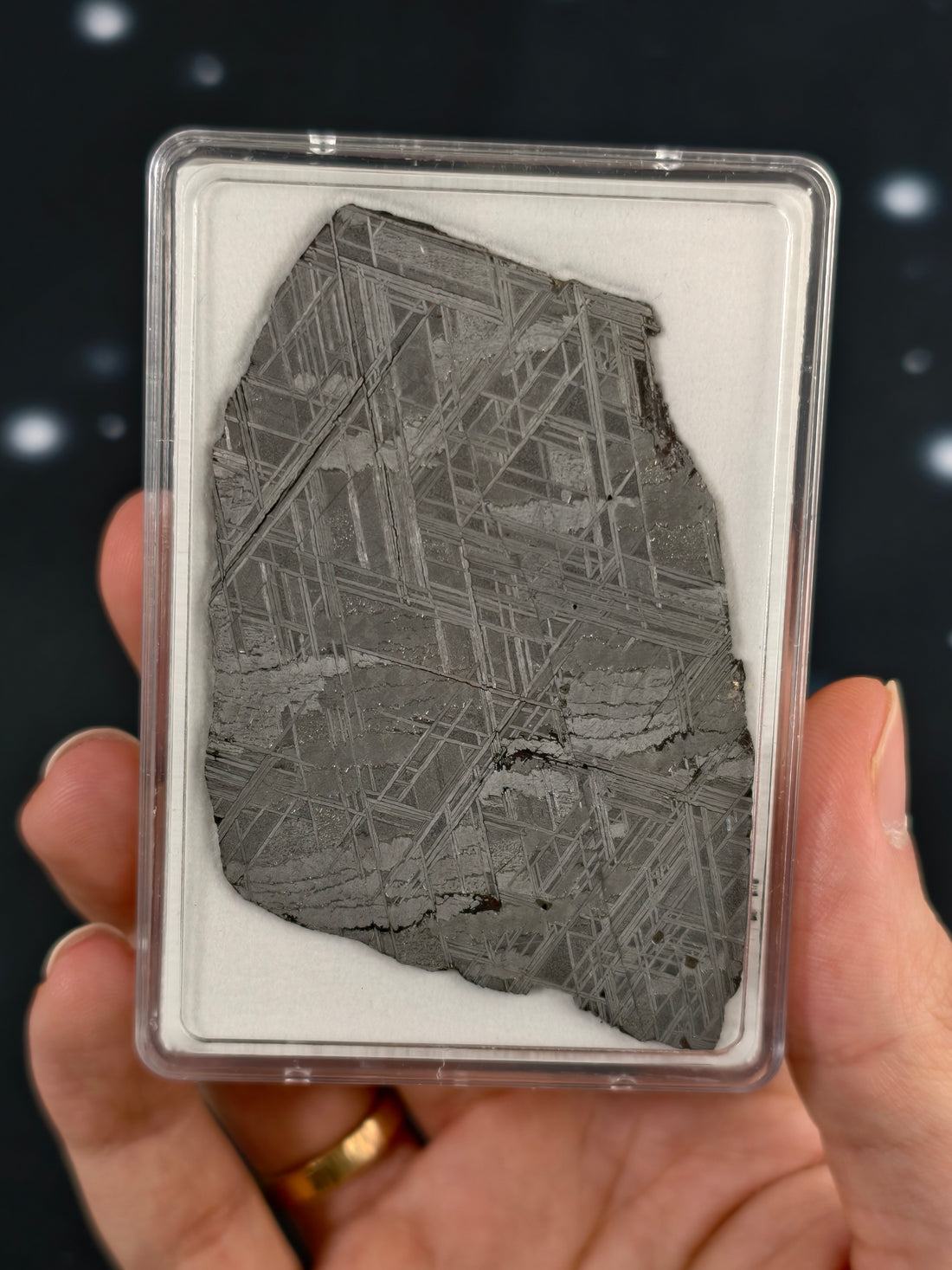 Muonionalusta Meteorit Scheibe 29,9g mit Zertifikat