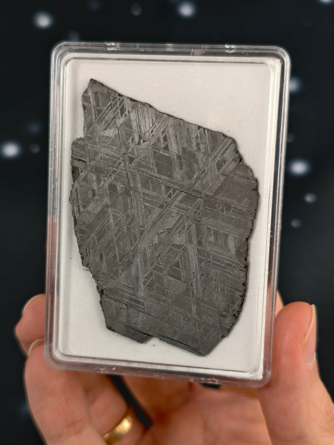 Muonionalusta Meteorit Scheibe 27,5g mit Zertifikat