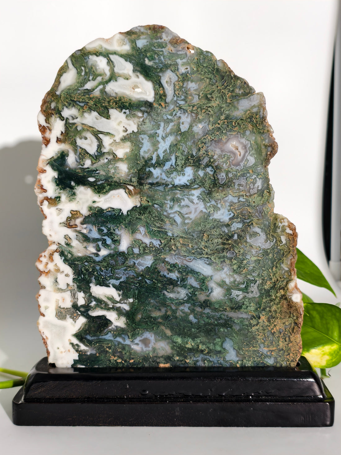 Moosachat Platte auf Holzsockel