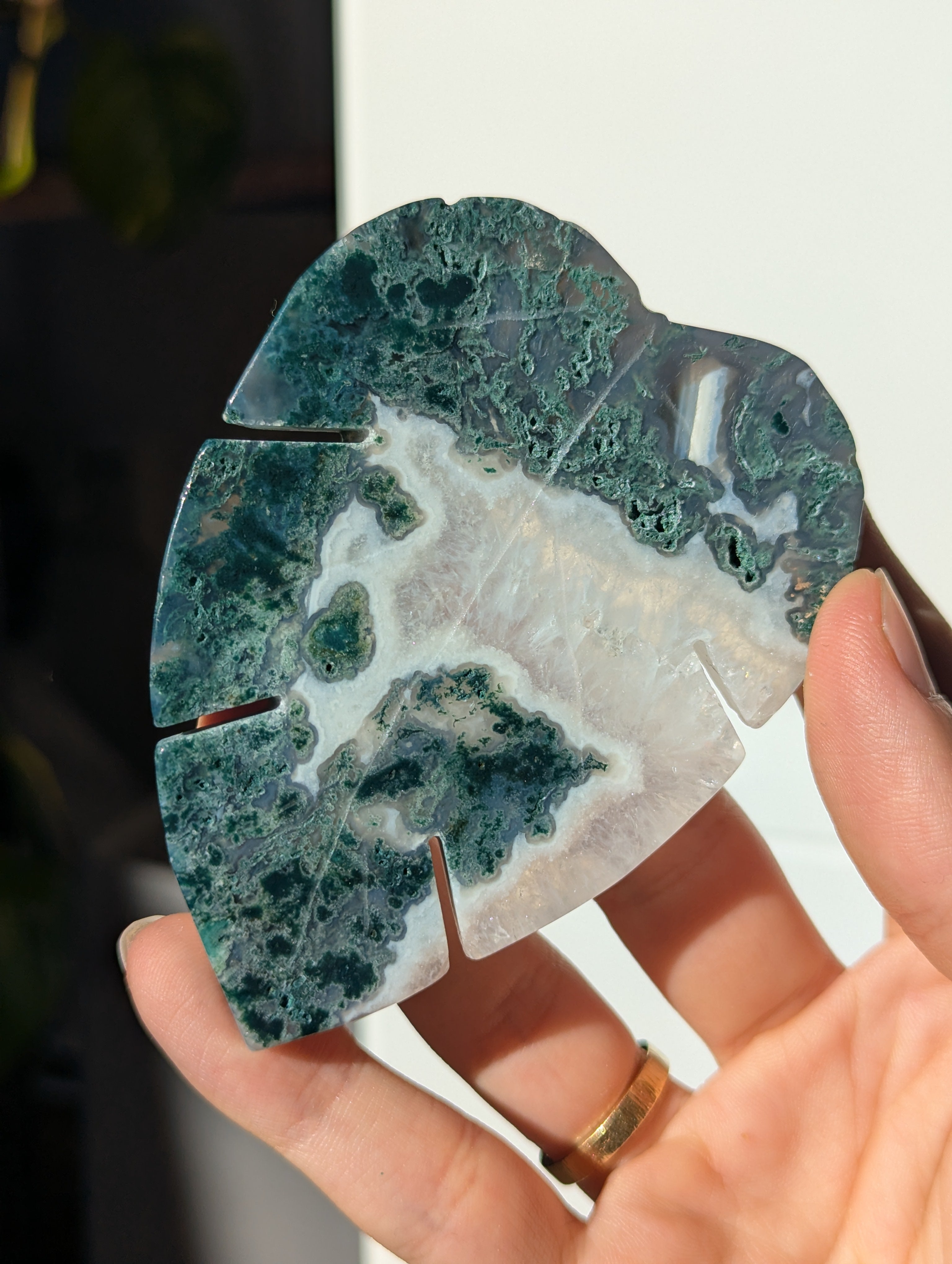 Moosachat Monstera Blatt (wähle dein eigenes)