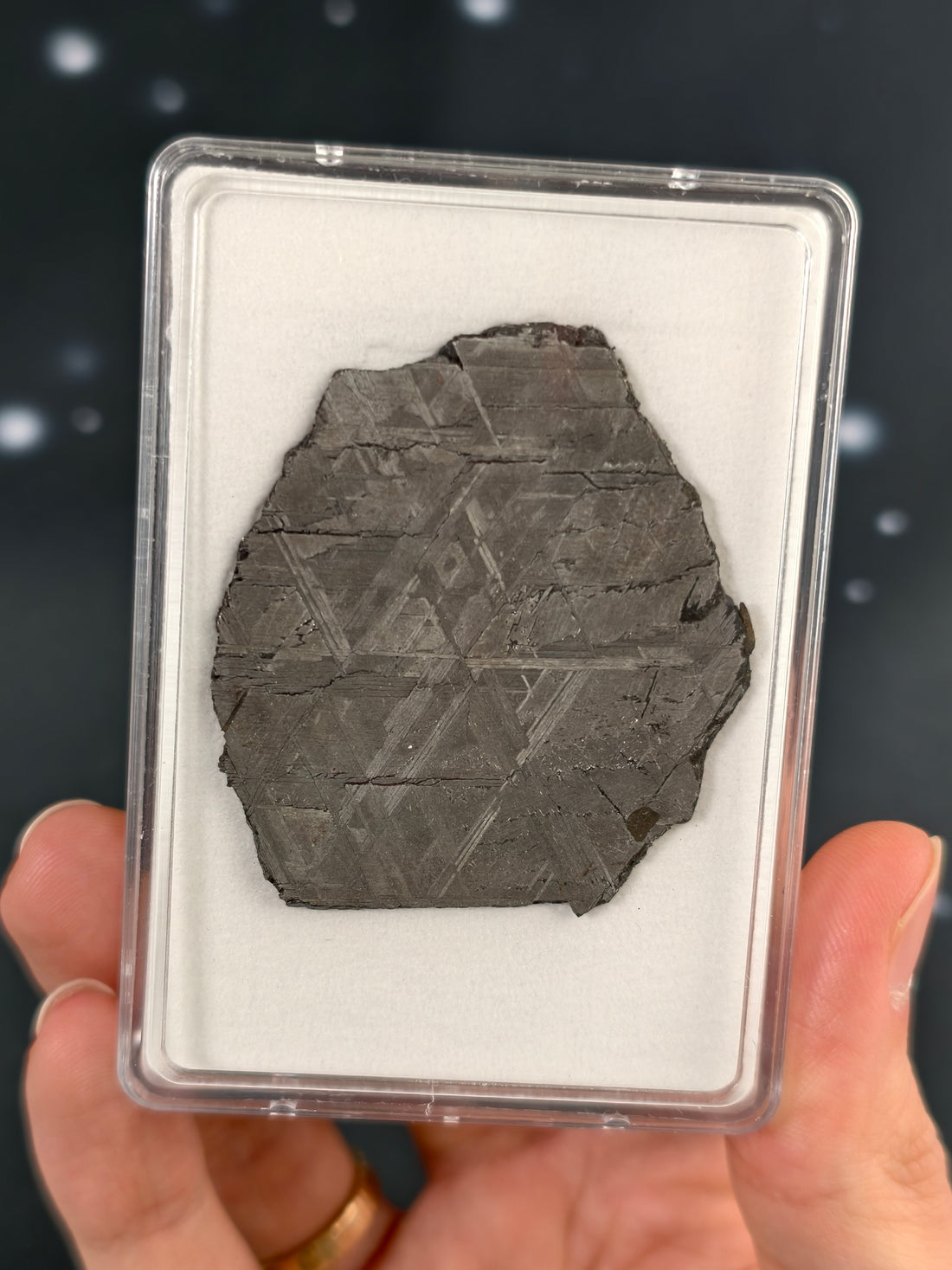 Muonionalusta Meteorit Scheibe 21,5g mit Zertifikat