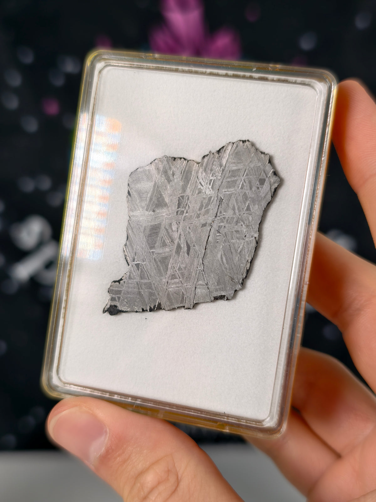 Muonionalusta Meteorit Scheibe 12,94g mit Zertifikat