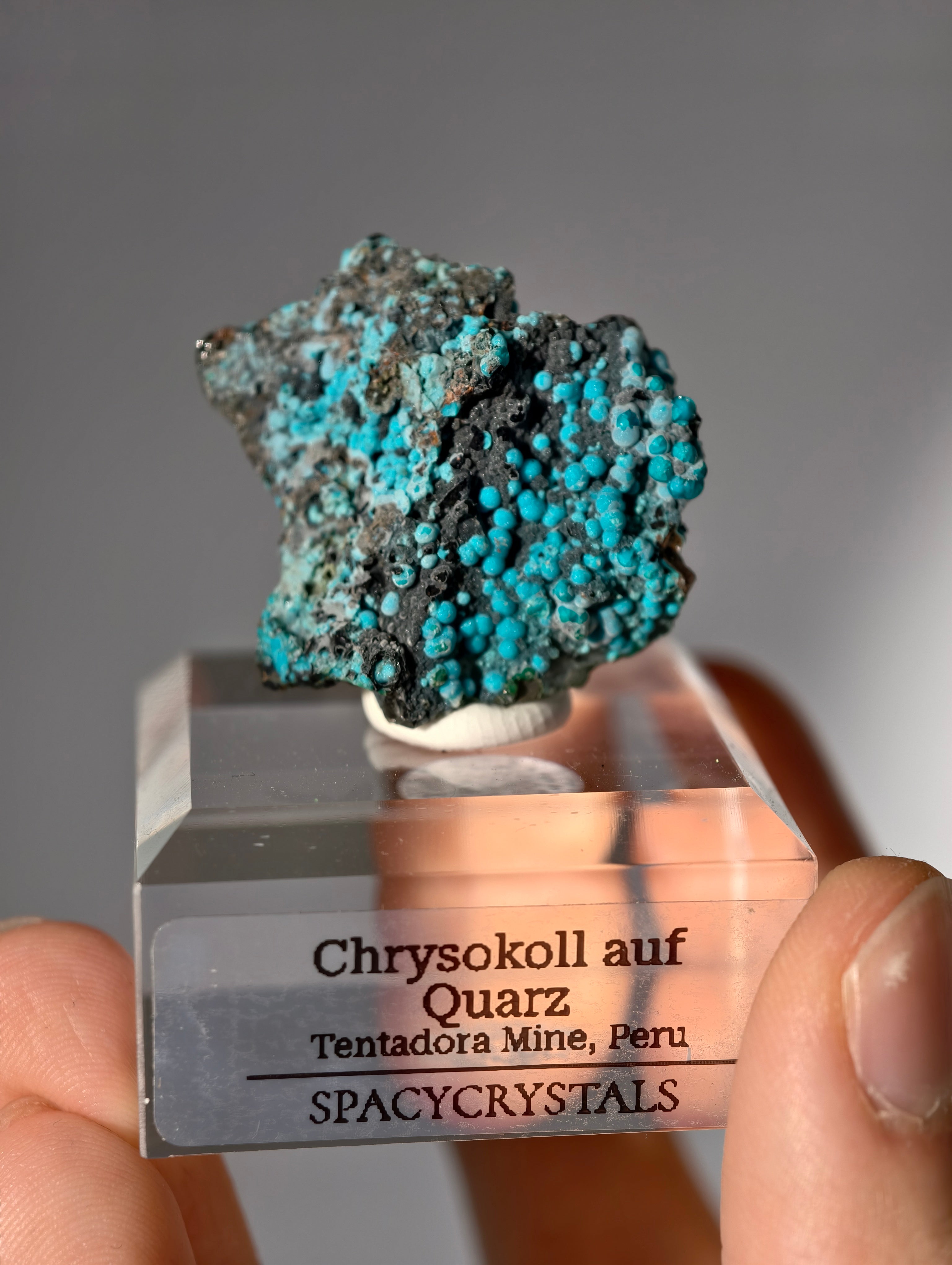 Chrysokoll auf Quarz, Tentadora Mine, Peru