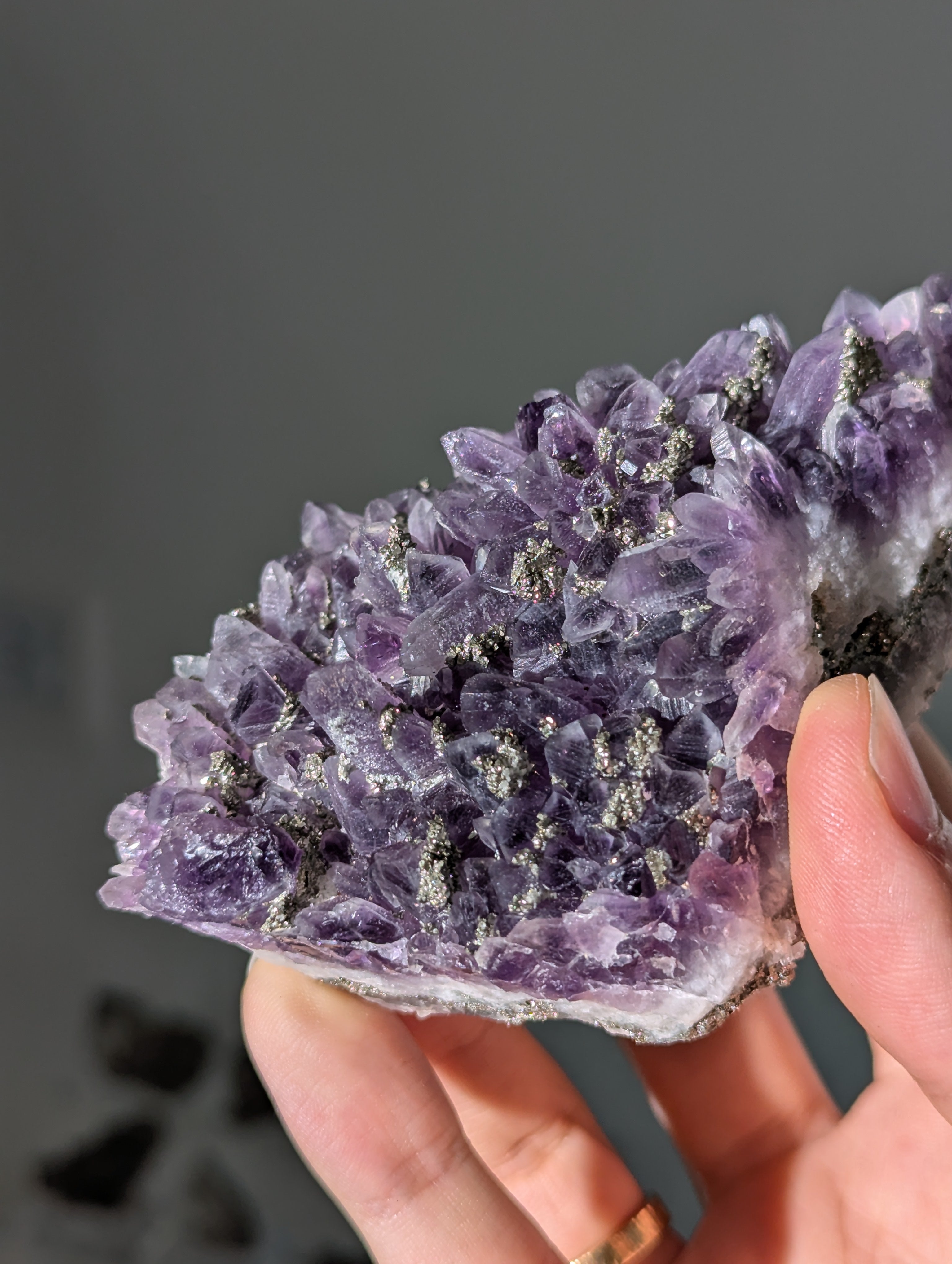 Pyrit auf dunkellila Amethyst aus Bulgarien ✨