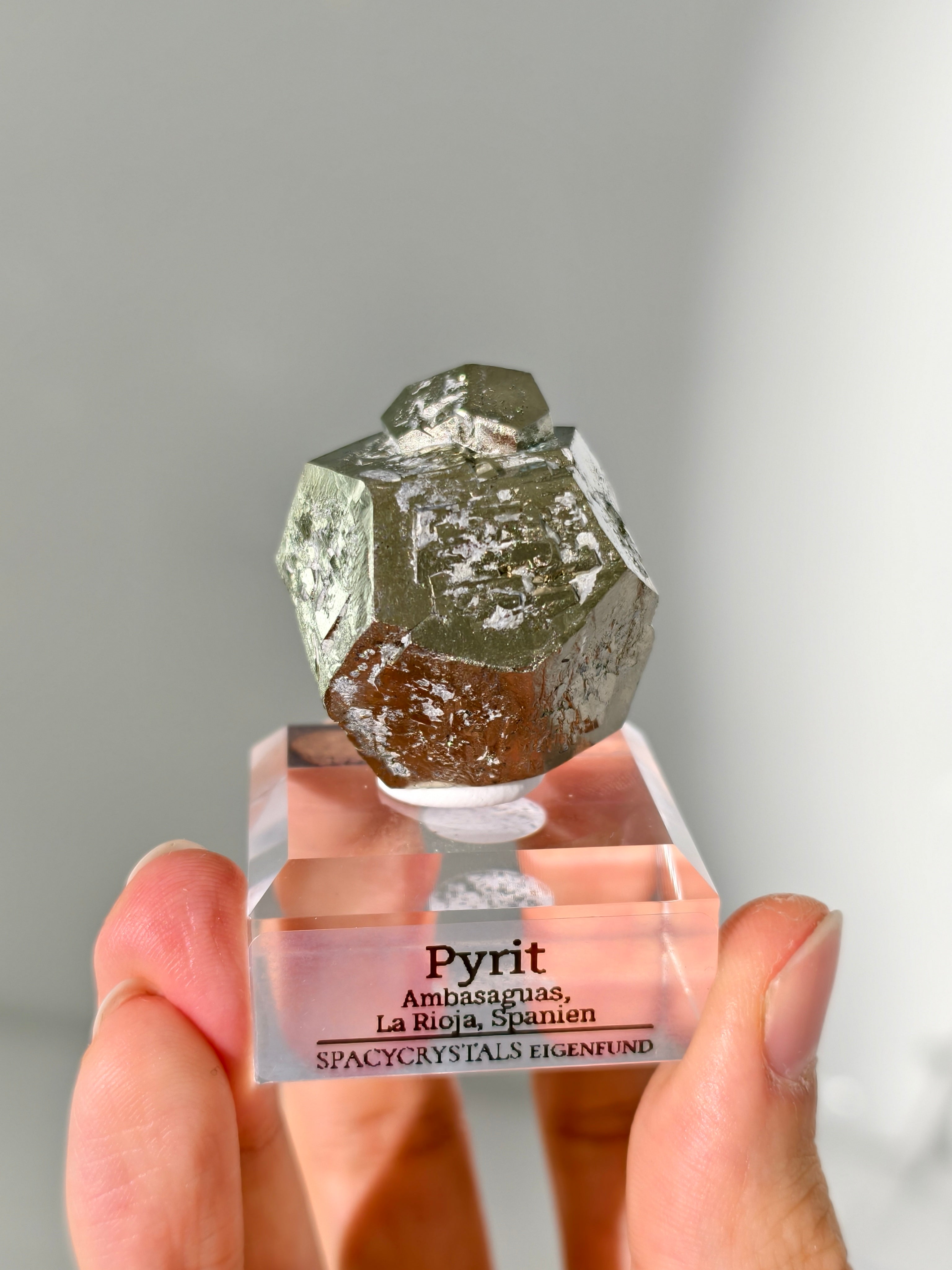 Pyrit aus Ambasaguas (Eigenfund)
