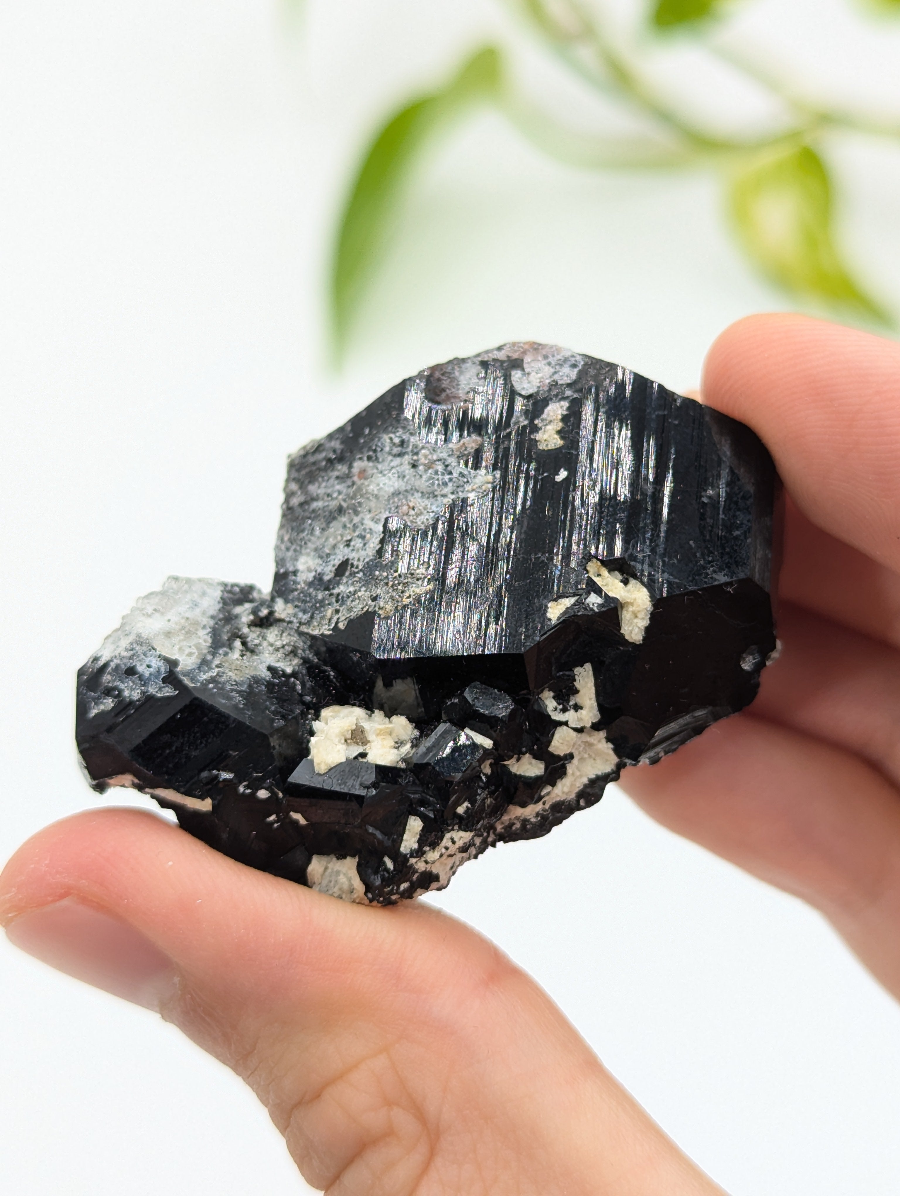 Schwarzer Turmalin (Schörl) aus Erongo IV