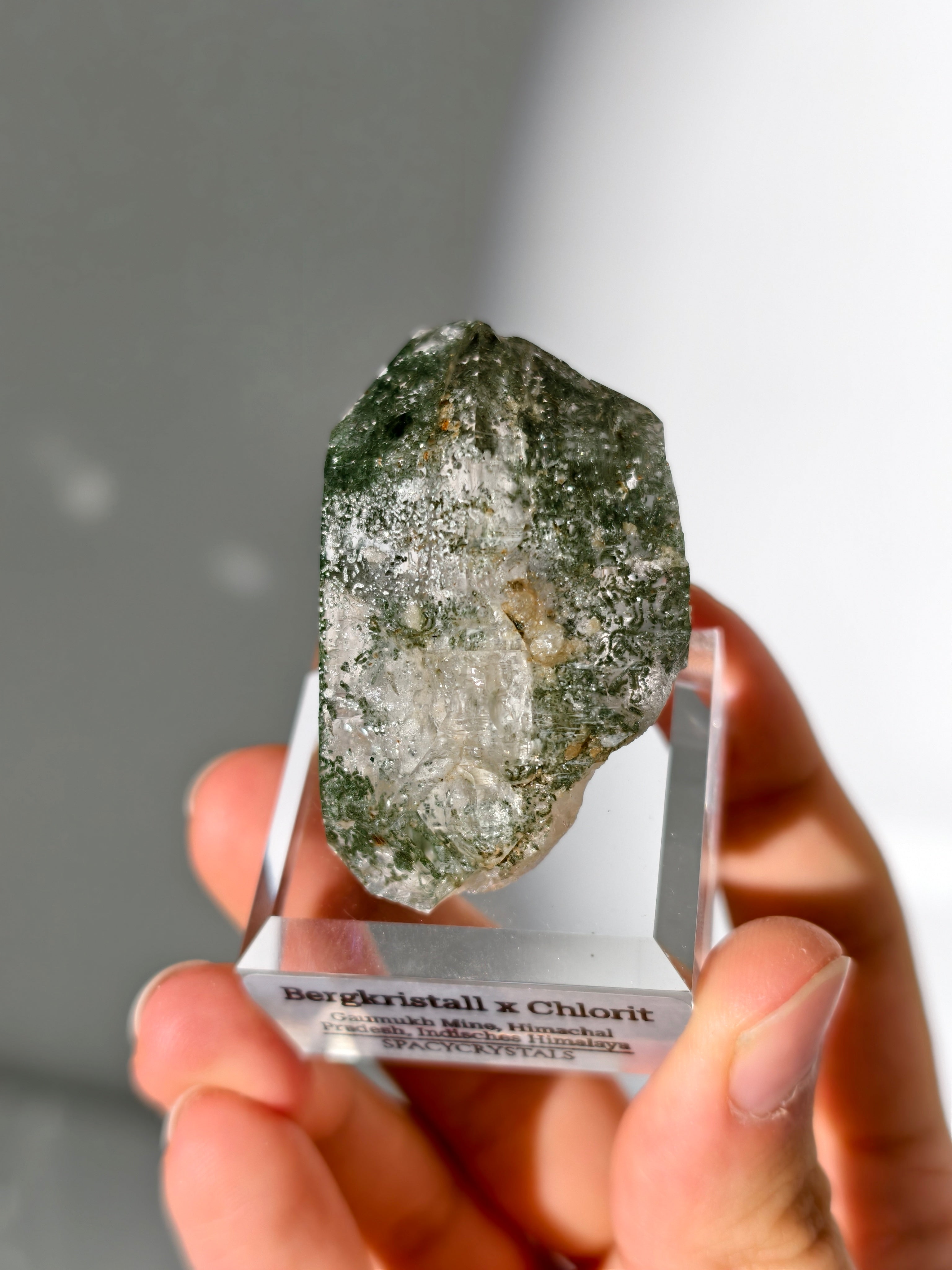 Himalaya Bergkristall mit Chlorit Einschlüssen