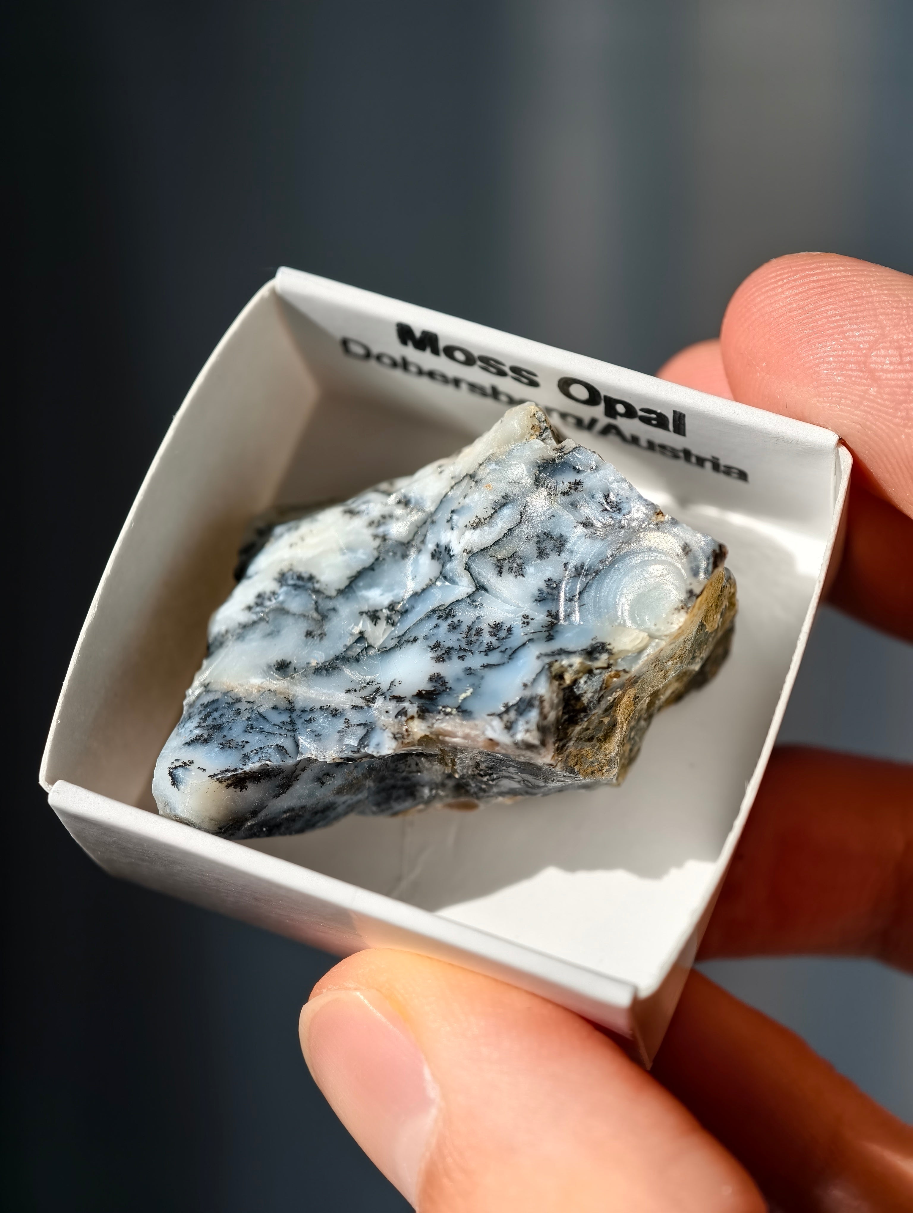 kleiner Moosopal aus Österreich 🇦🇹