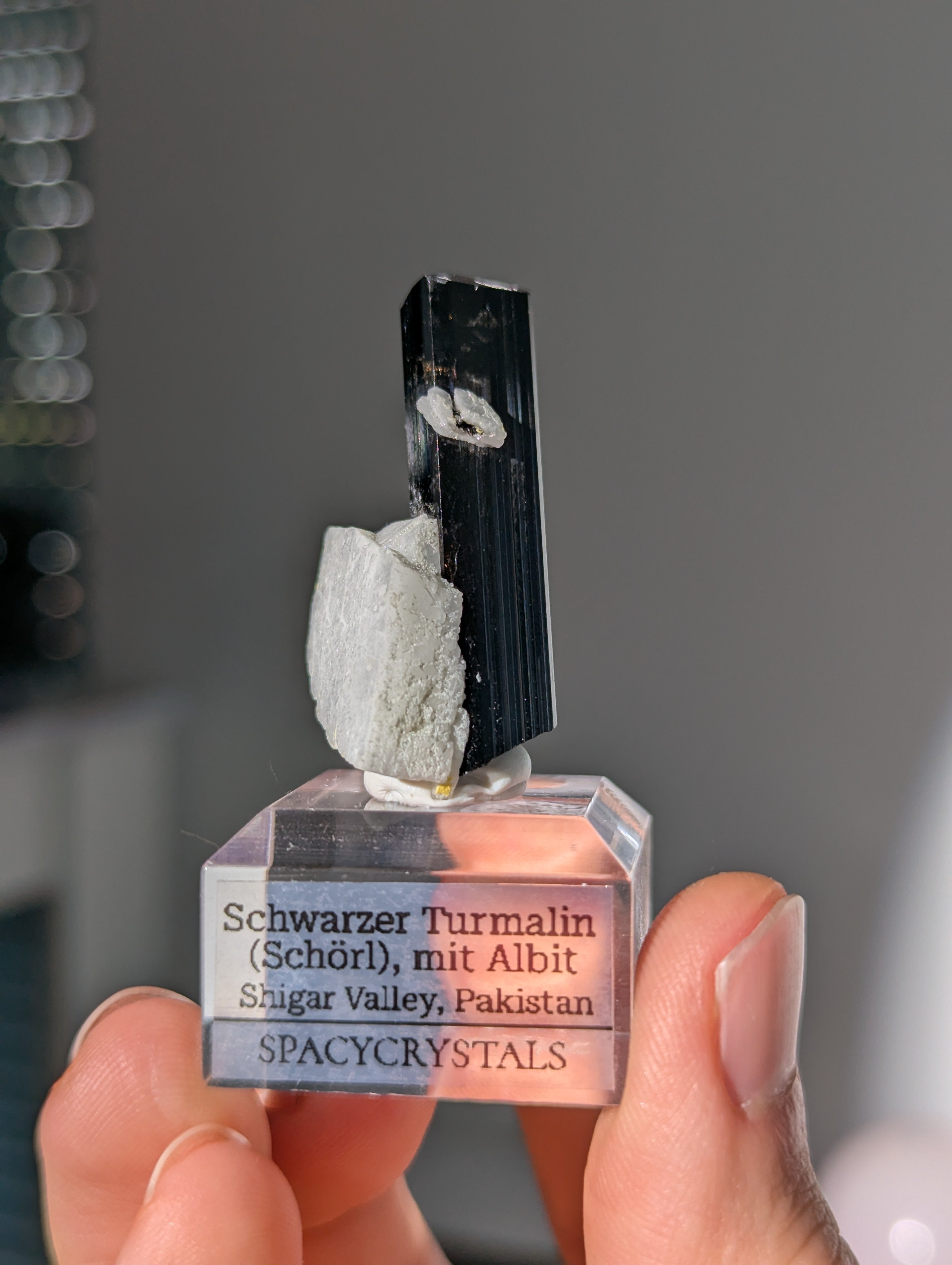 Schwarzer Turmalin (Schörl) mit Albit auf Podest