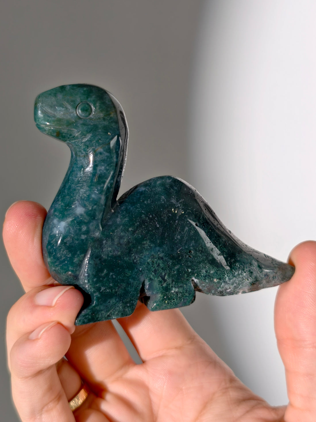 Moosachat Dino 🦕 (Brontosaurus)