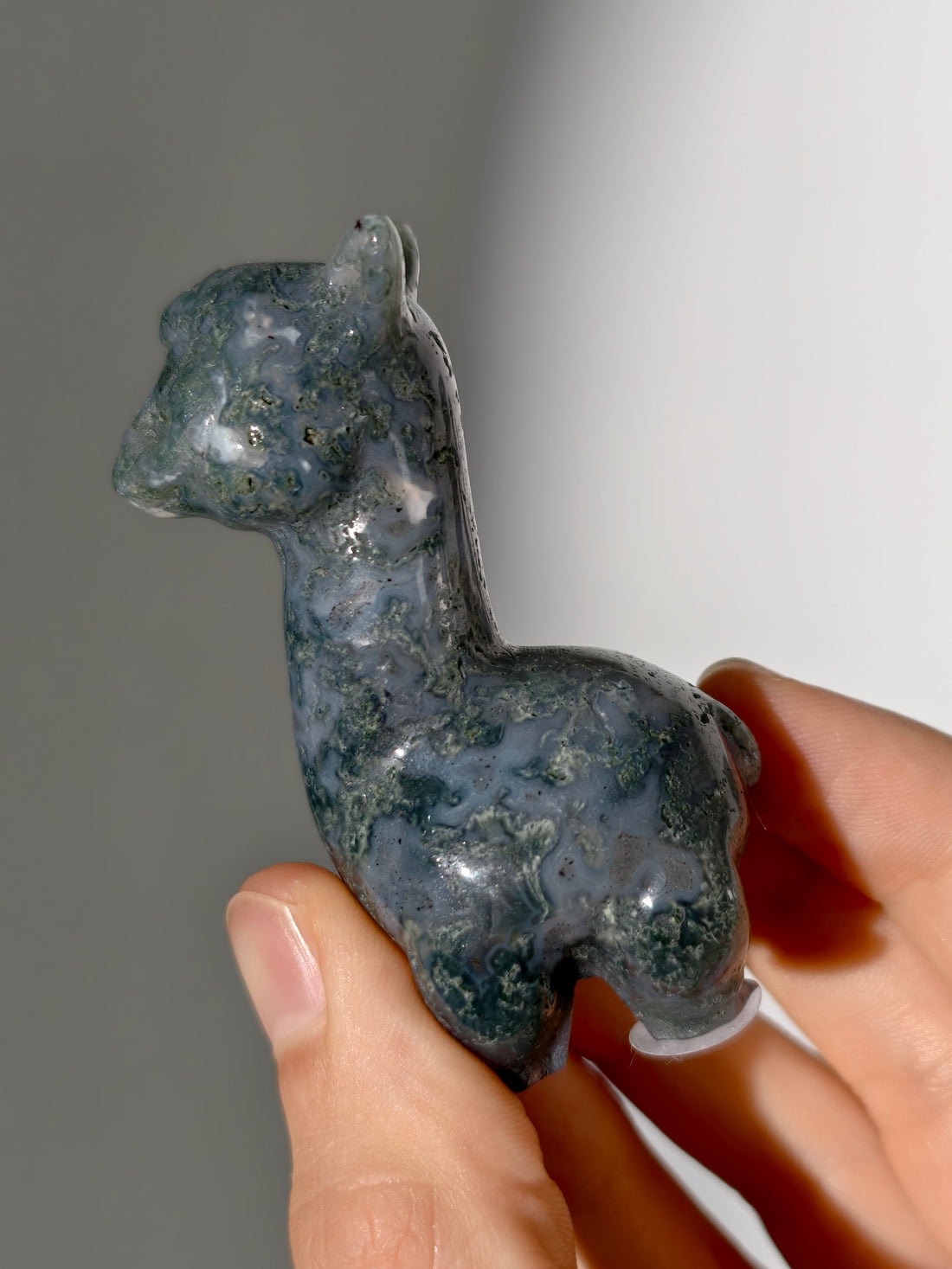 Moosachat Alpaka 🦙