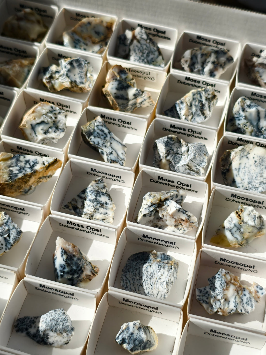 kleiner Moosopal aus Österreich 🇦🇹