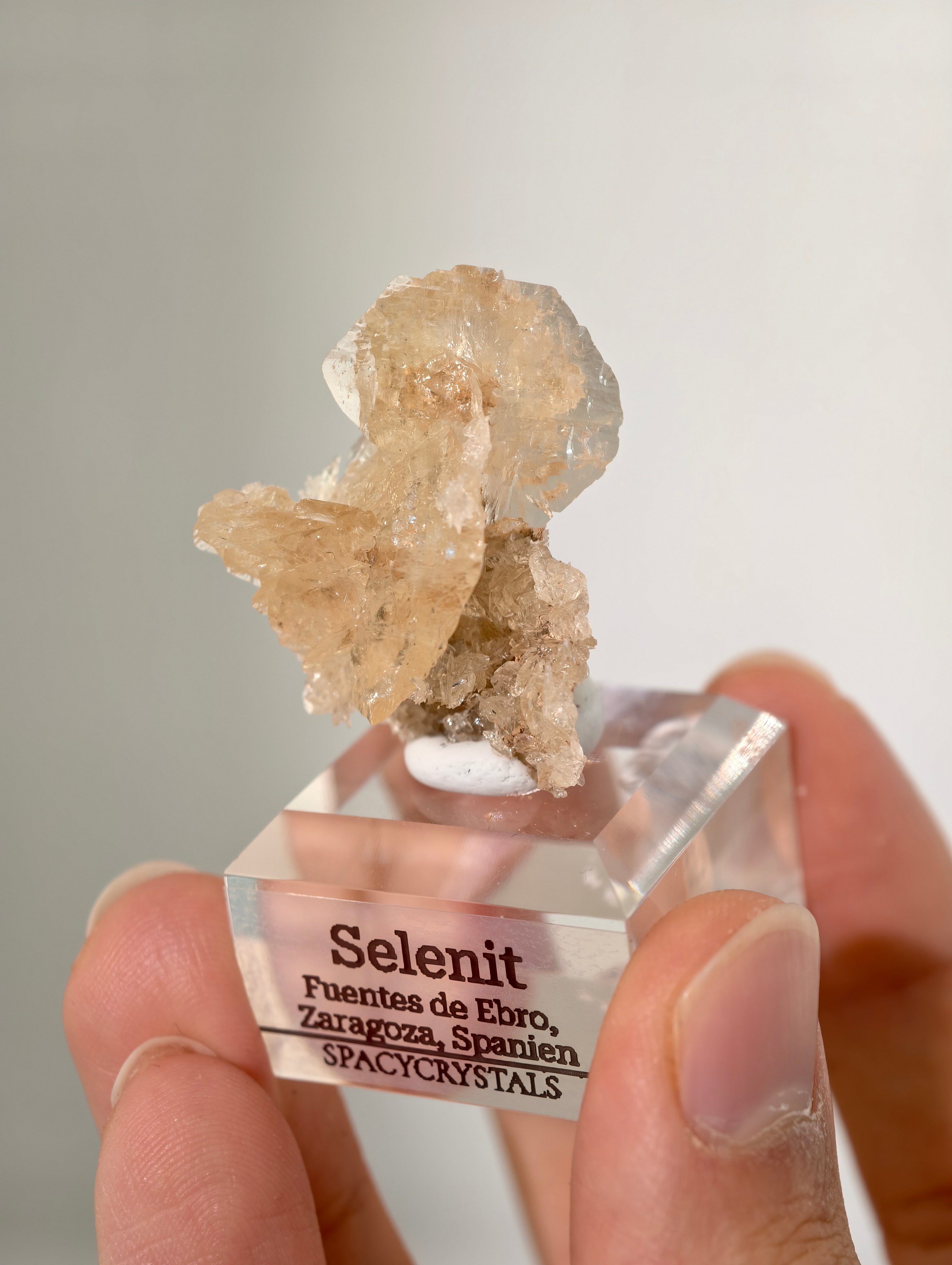 Selenit aus Spanien (UV-Aktiv)