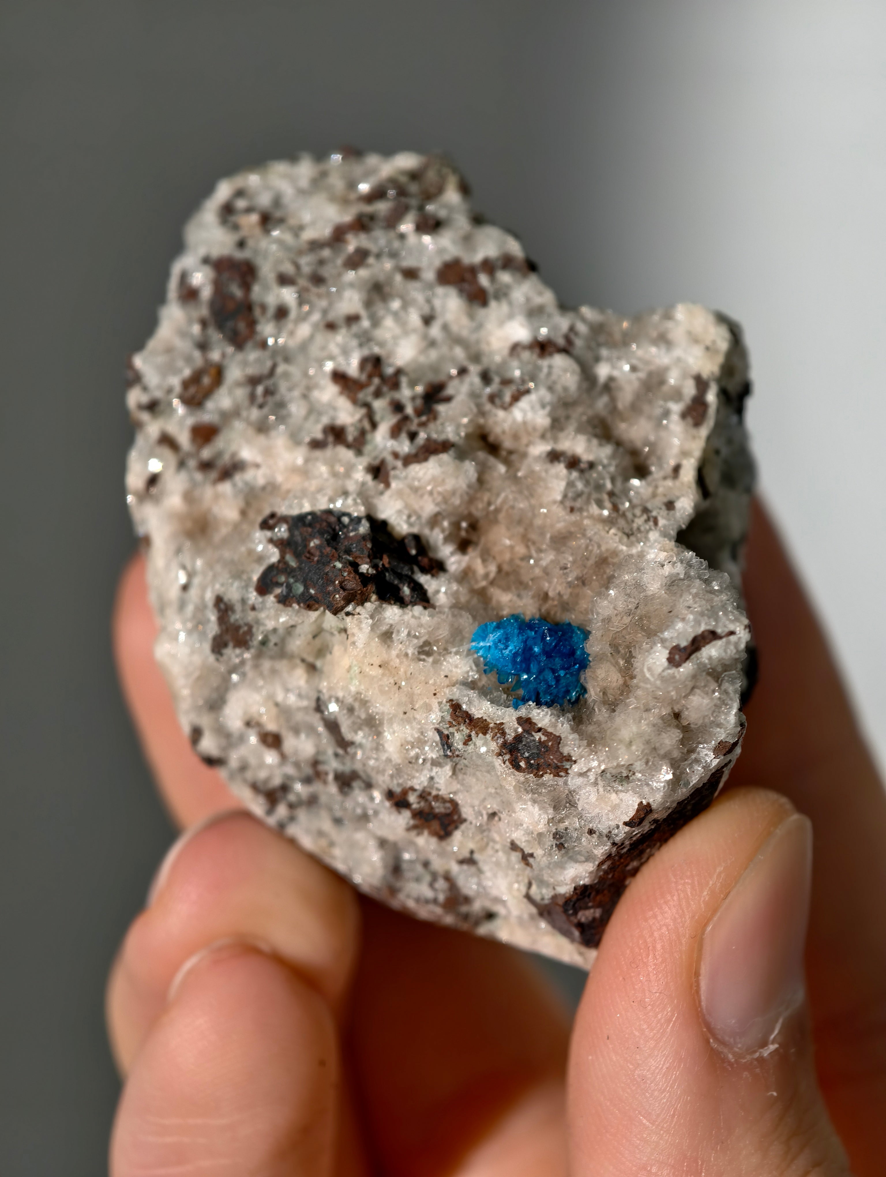 Cavansite aus Indien in Matrix