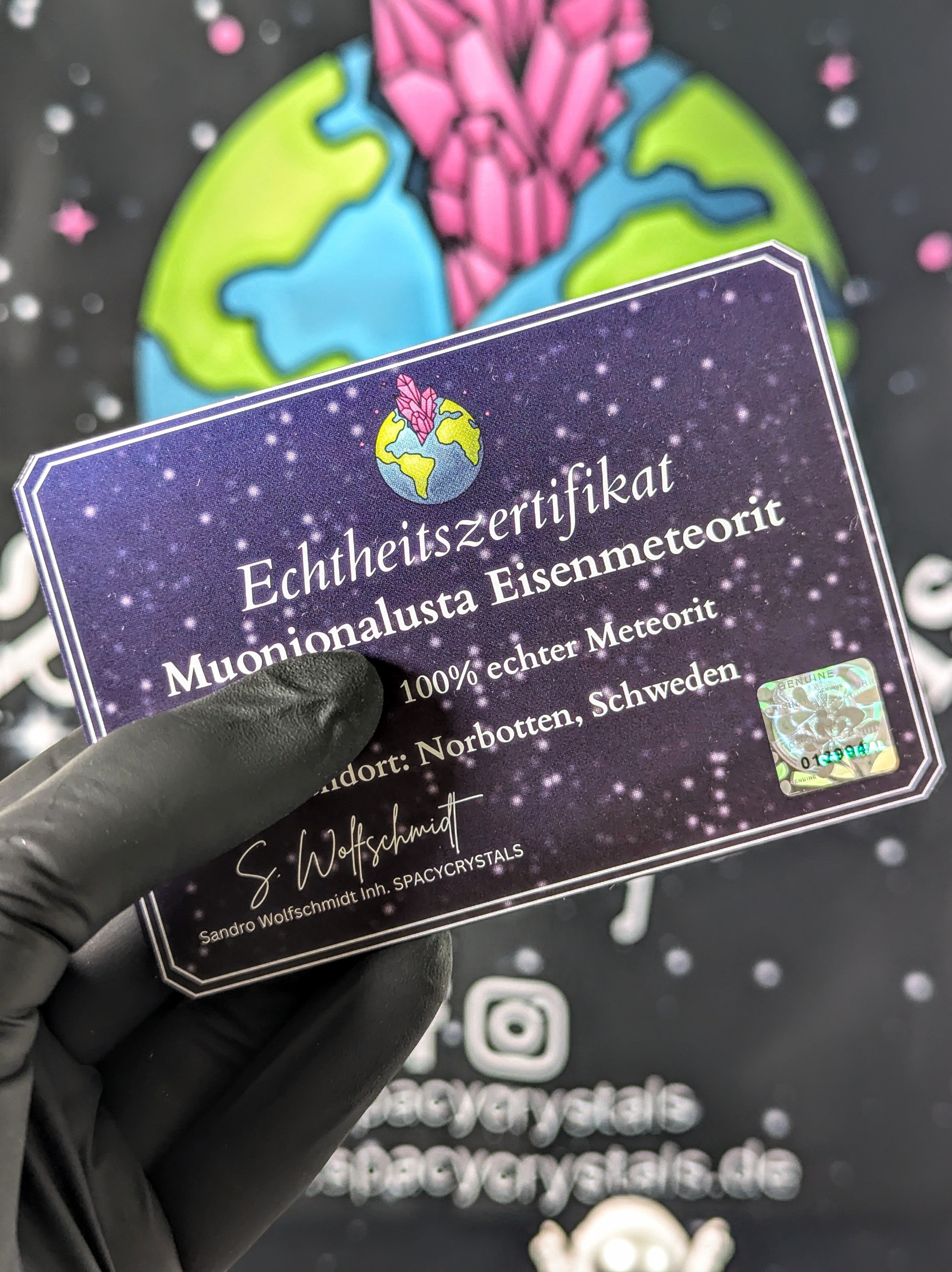 Muonionalusta Meteorit Scheibe 14,7g mit Zertifikat