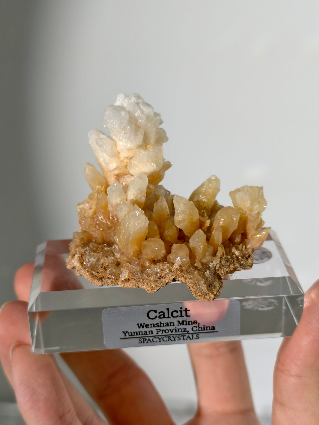 Korallenförmiger Calcit - Wenshan Mine