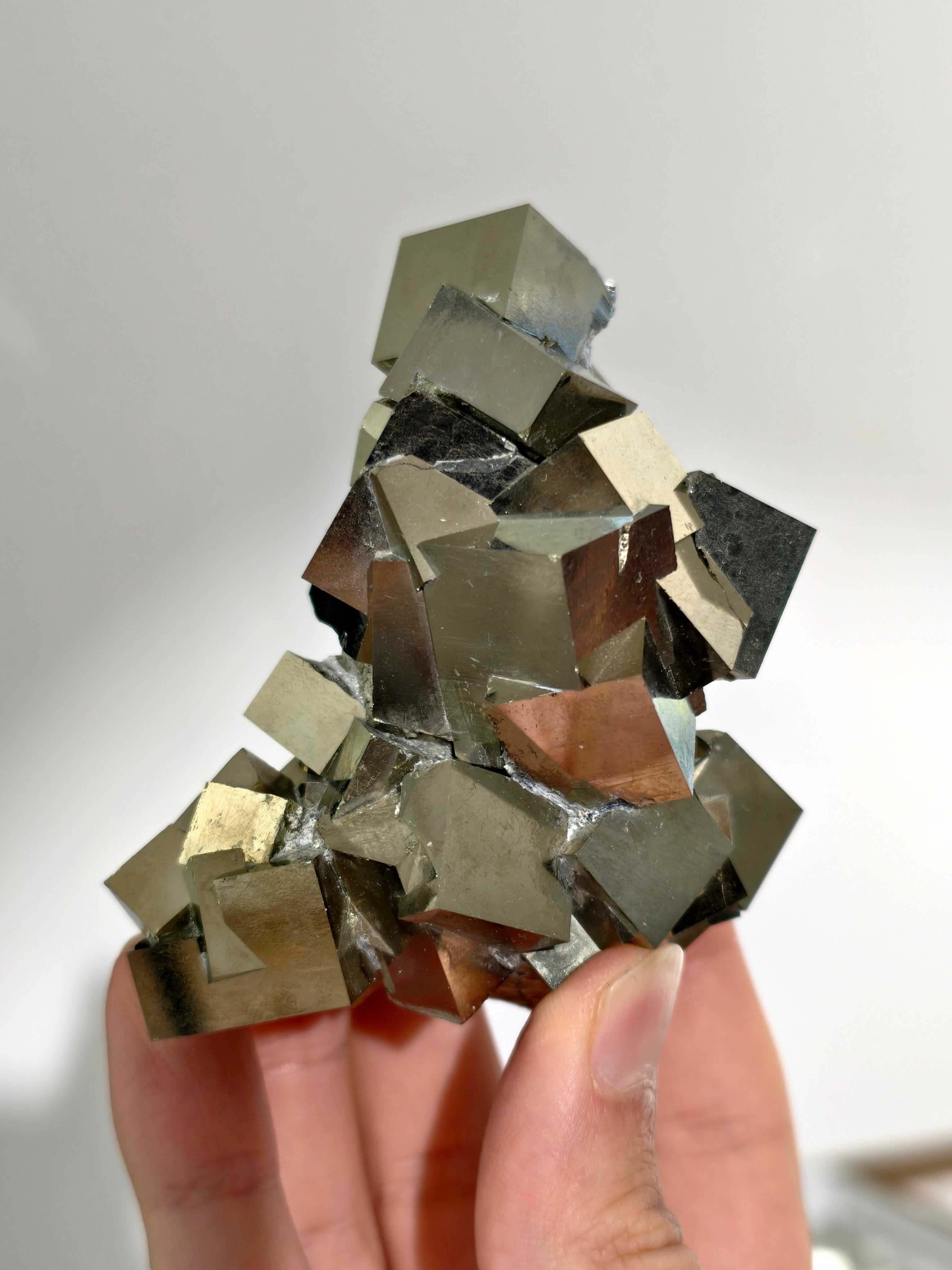 Pyrit Würfel Cluster aus Navajún, Spanien