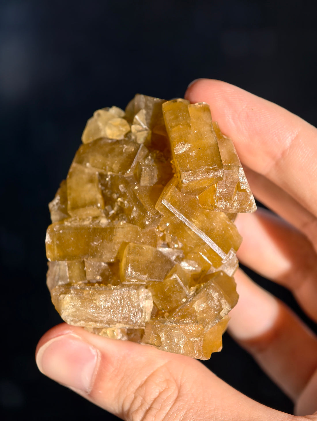 Goldgelber Barit 🍯 aus Jiangxi