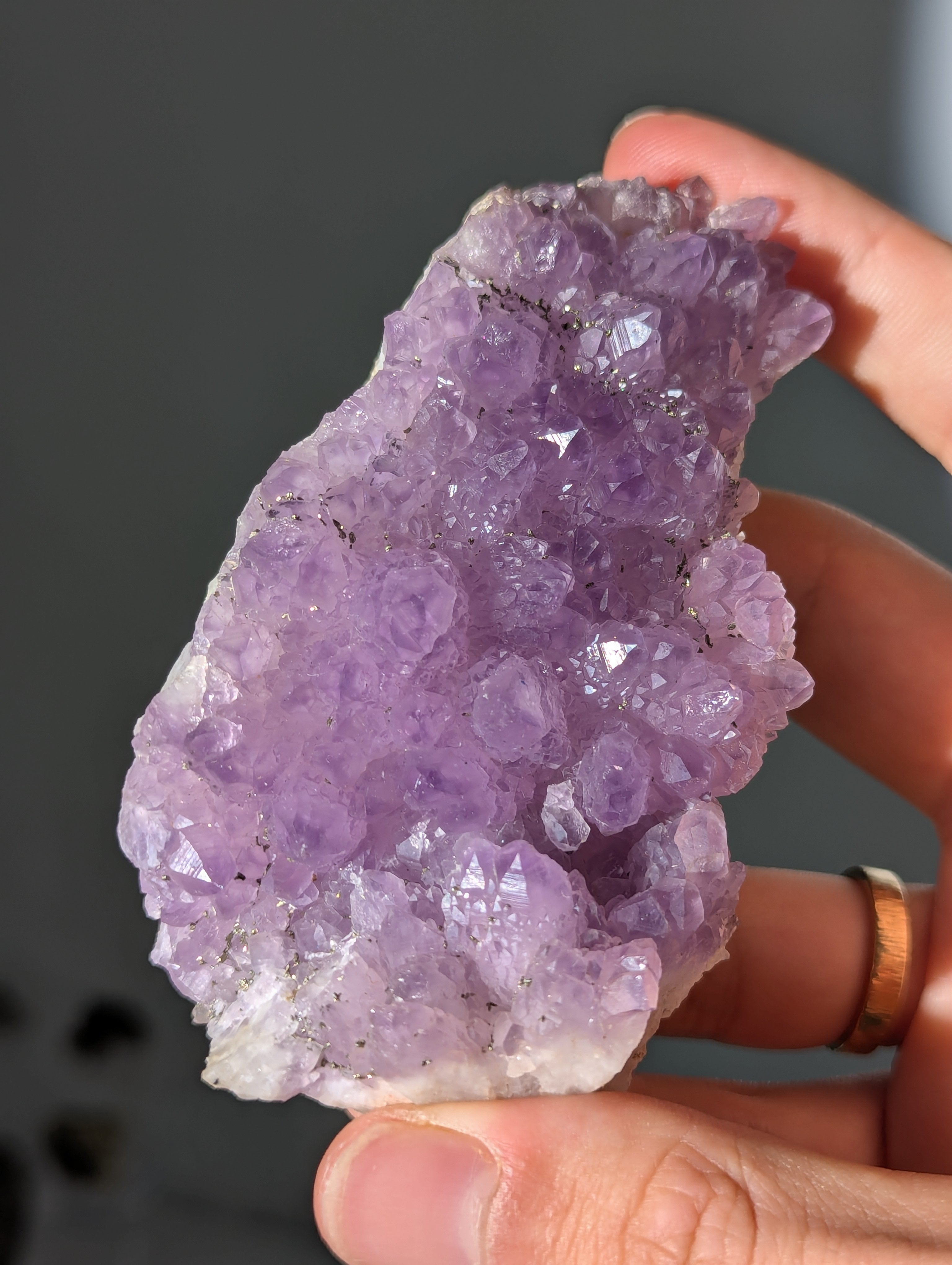 Pyrit auf Amethyst aus Bulgarien ✨