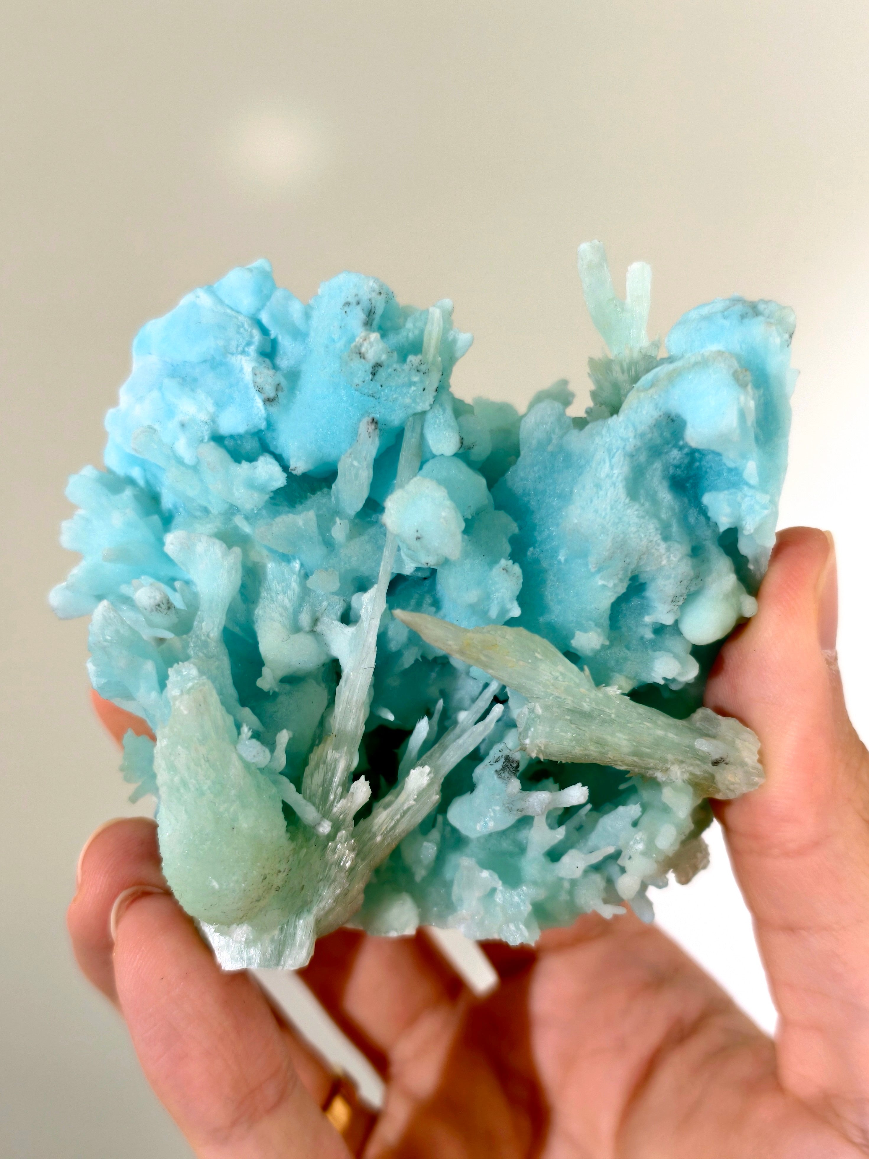 Wow! Blauer Aragonit 🪸🩵 aus der Wenshan Mine
