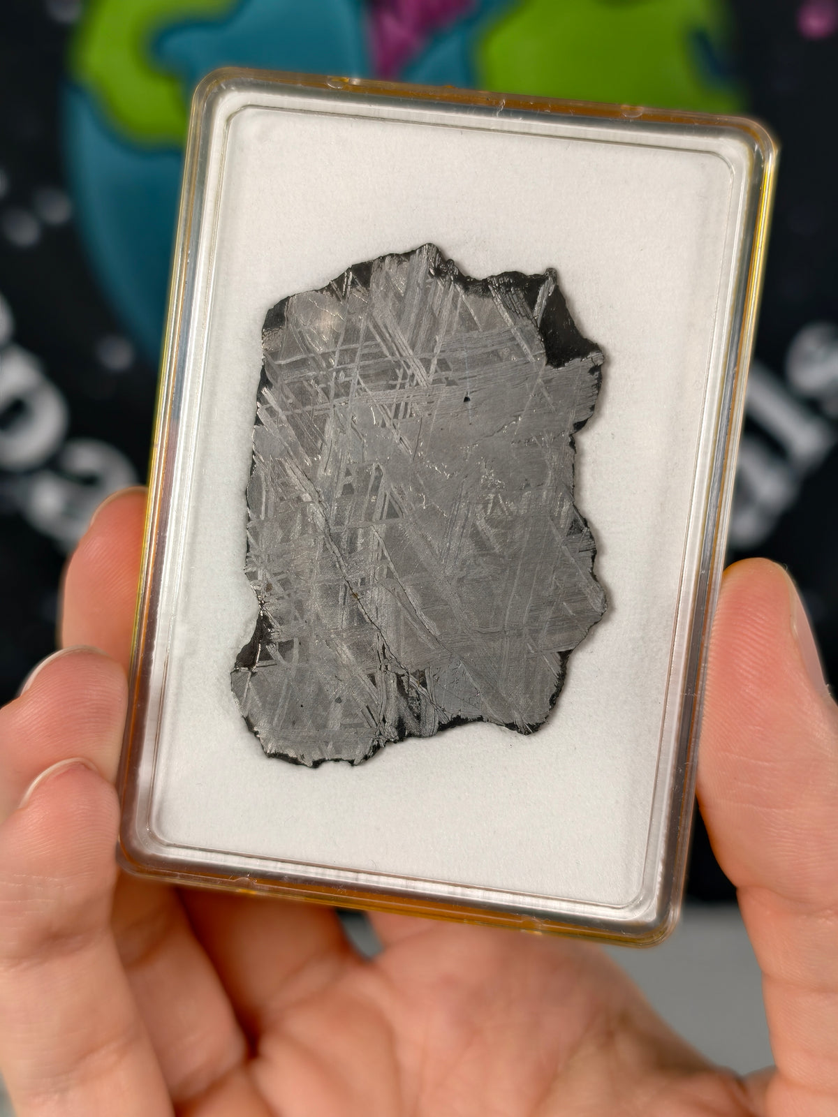 Muonionalusta Meteorit Scheibe 18,14 mit Zertifikat
