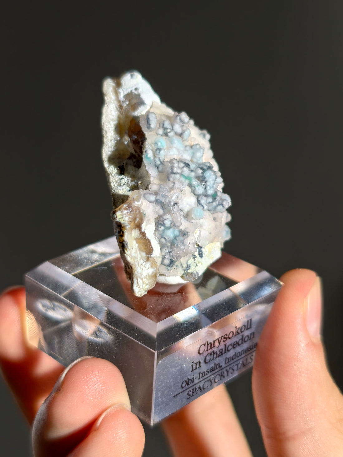 Neufund! Chrysokoll in Chalcedon aus Indonesien