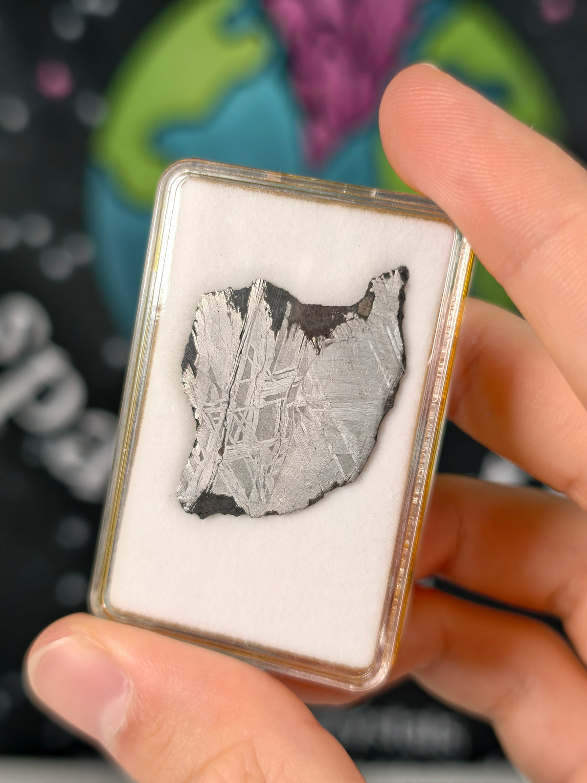 Muonionalusta Meteorit Scheibe 6,31g mit Zertifikat