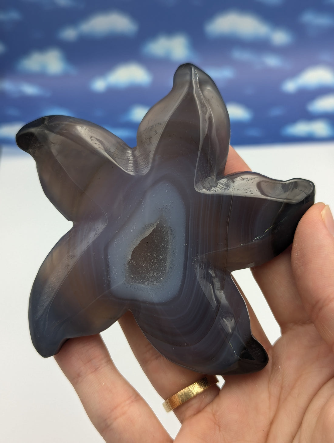 Achat Seestern mit Kristall Druse