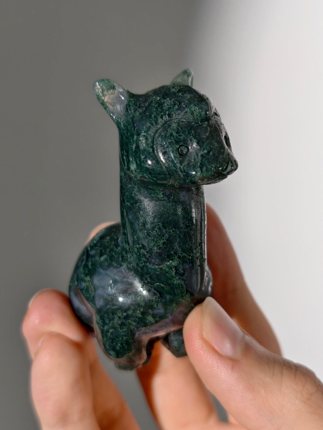 Moosachat Alpaka 🦙