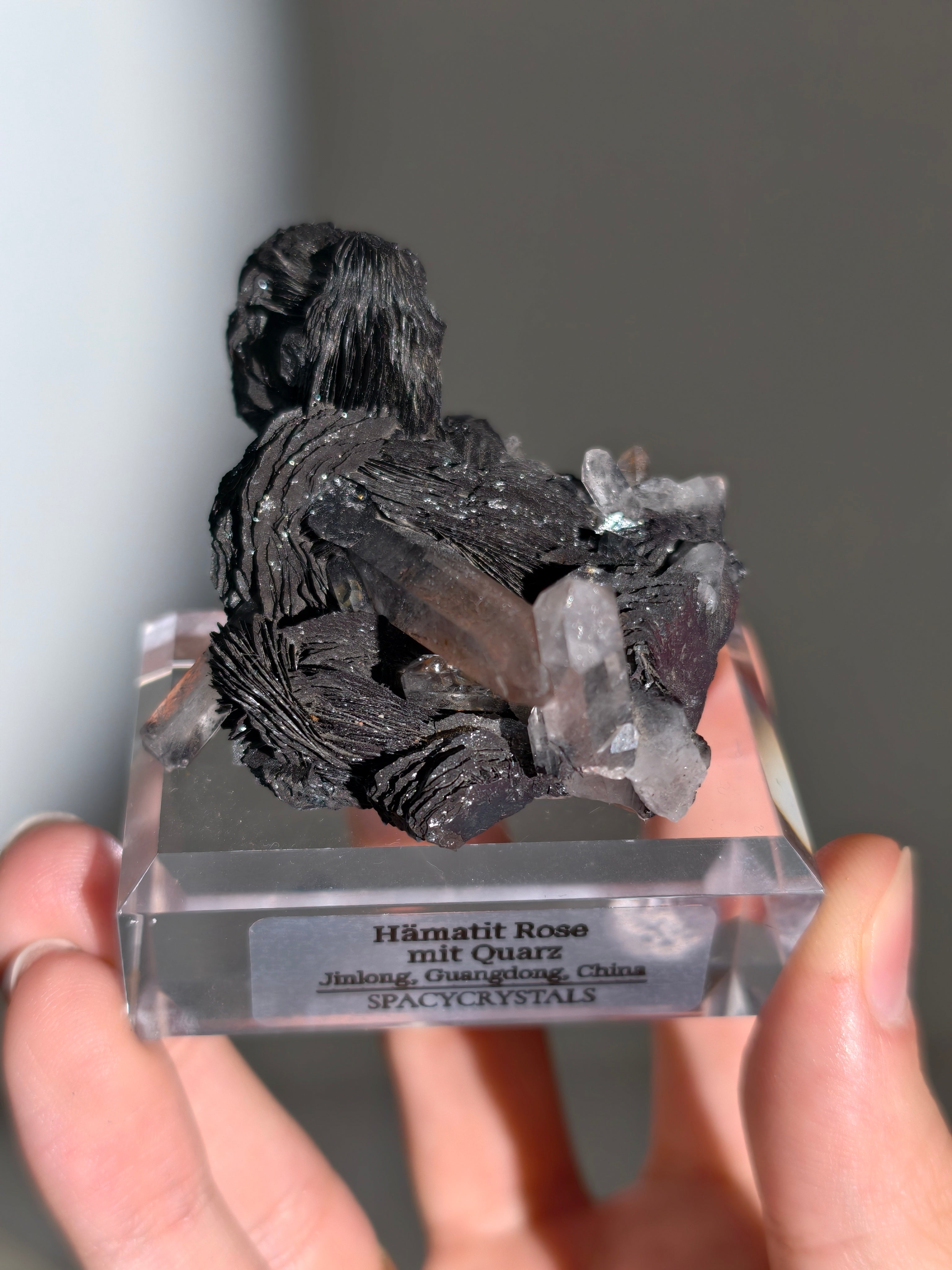 Schwarze Hämatit Rose mit Bergkristall aus Jinlong