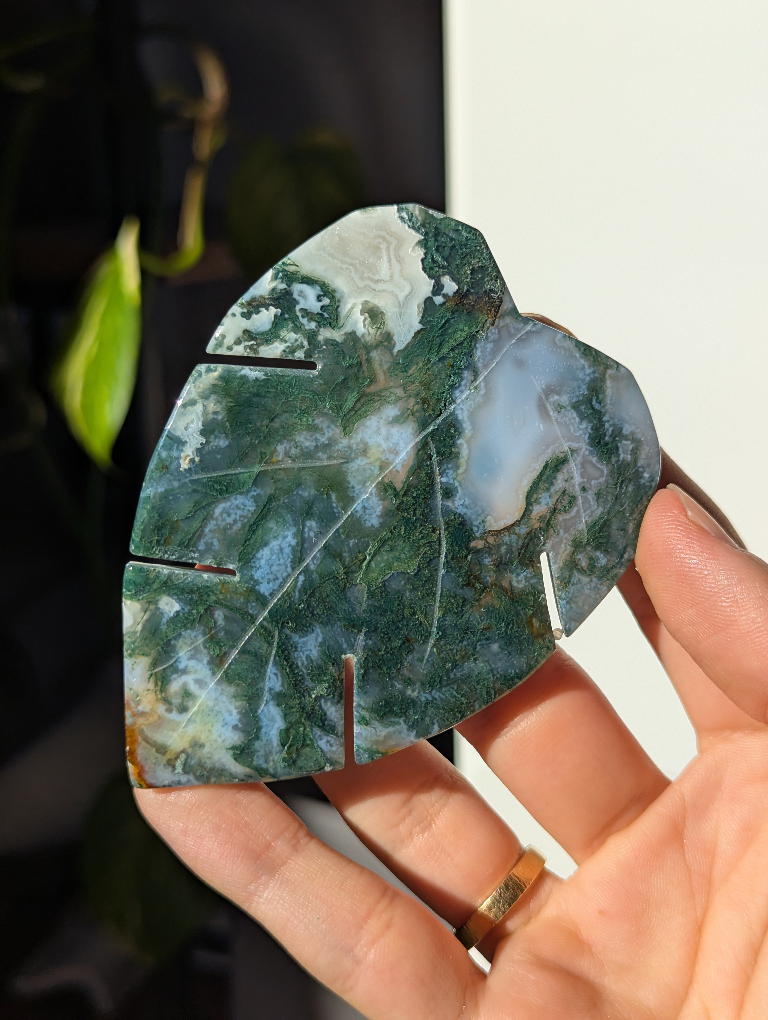 Moosachat Monstera Blatt (wähle dein eigenes)