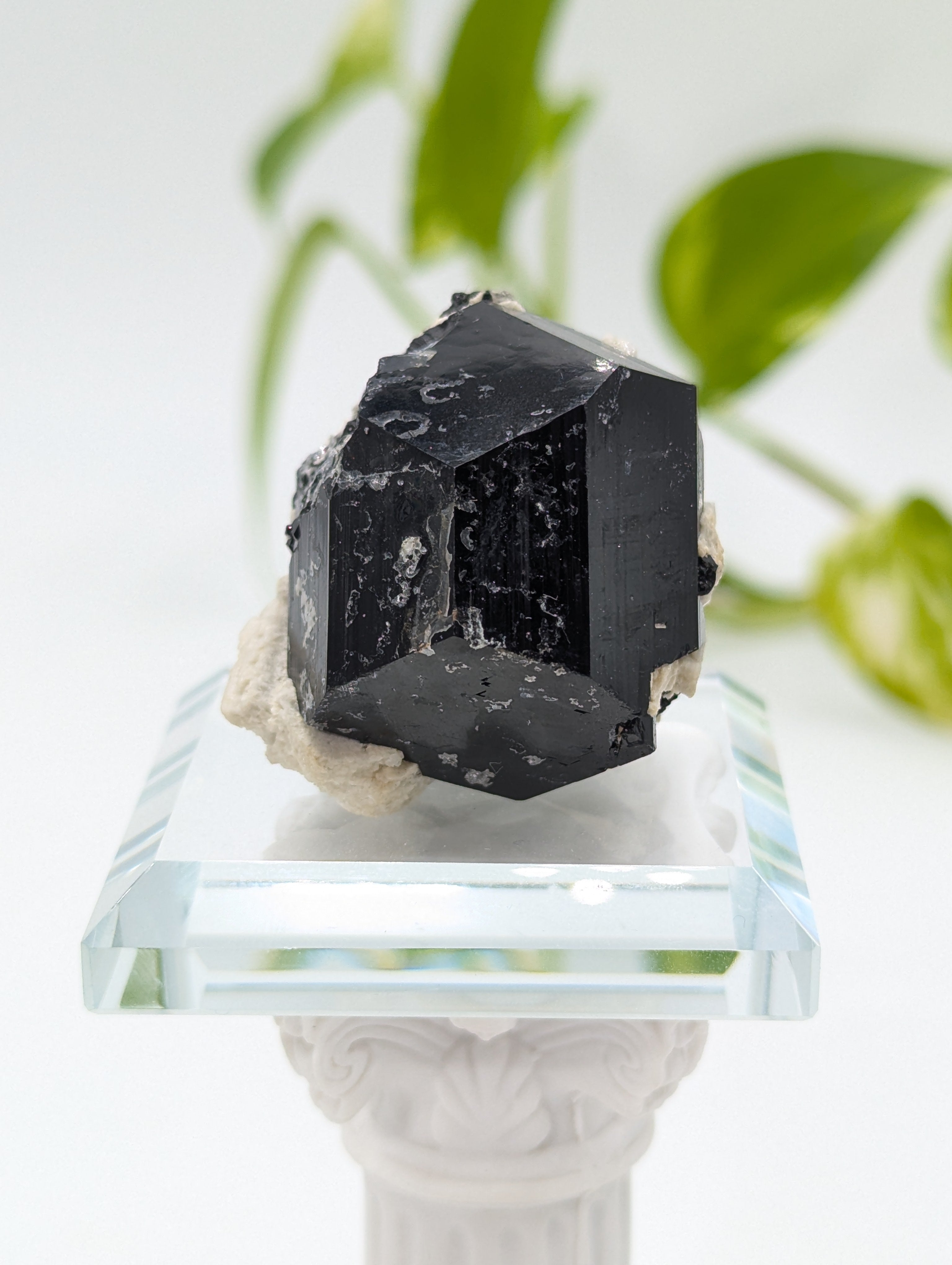 Schwarzer Turmalin (Schörl) aus Erongo II