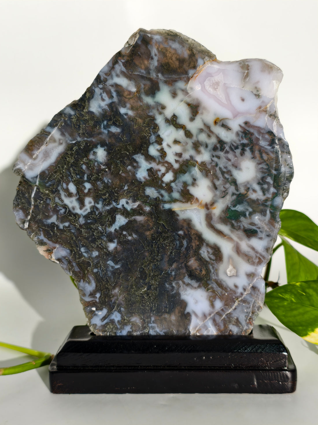 Moosachat Platte auf Holzsockel