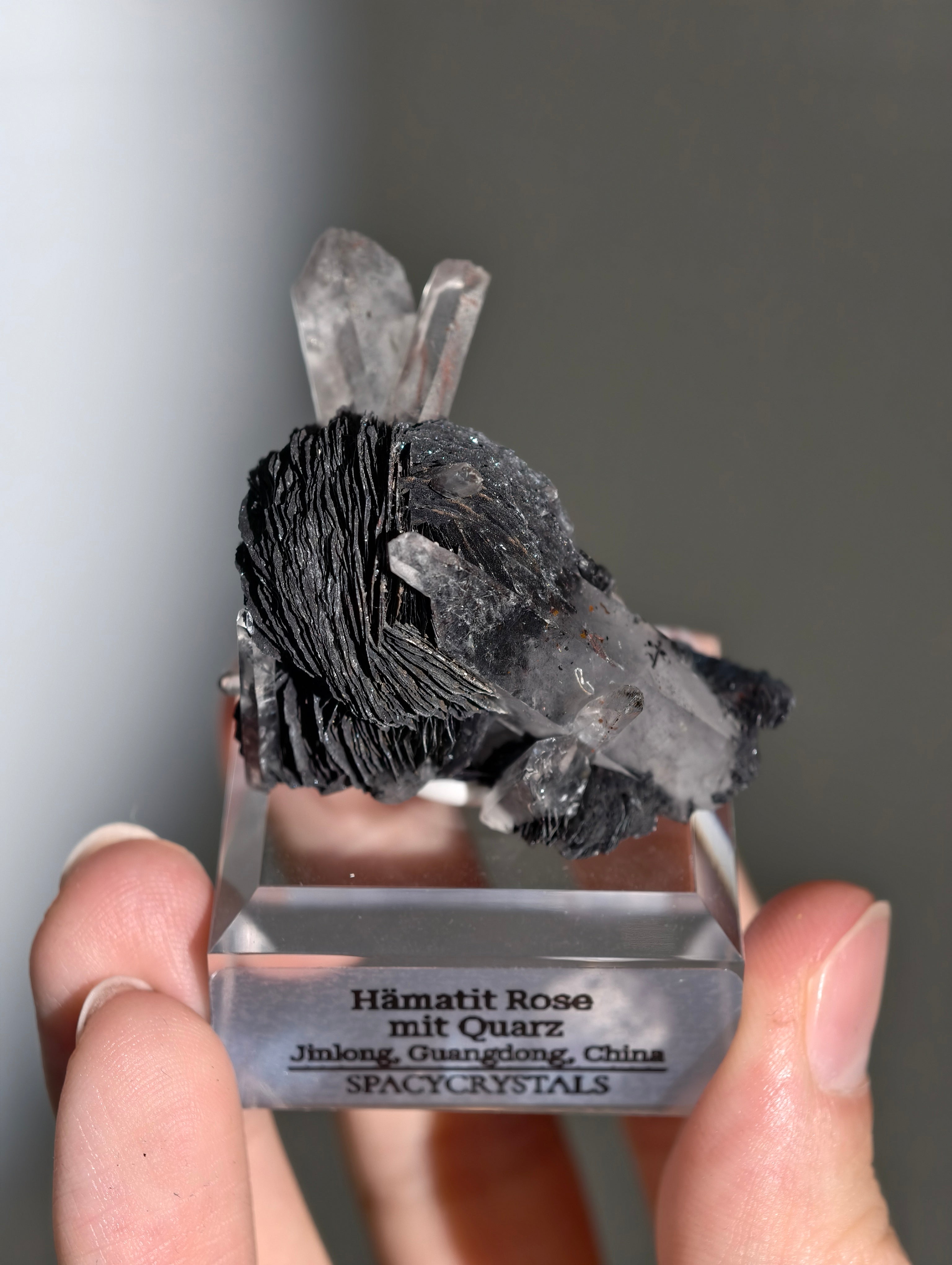 Schwarze Hämatit Rose mit Bergkristall aus Jinlong