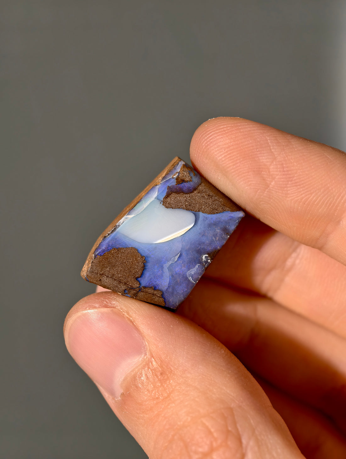 Boulder Opal aus Australien (selbst geschliffen & poliert)
