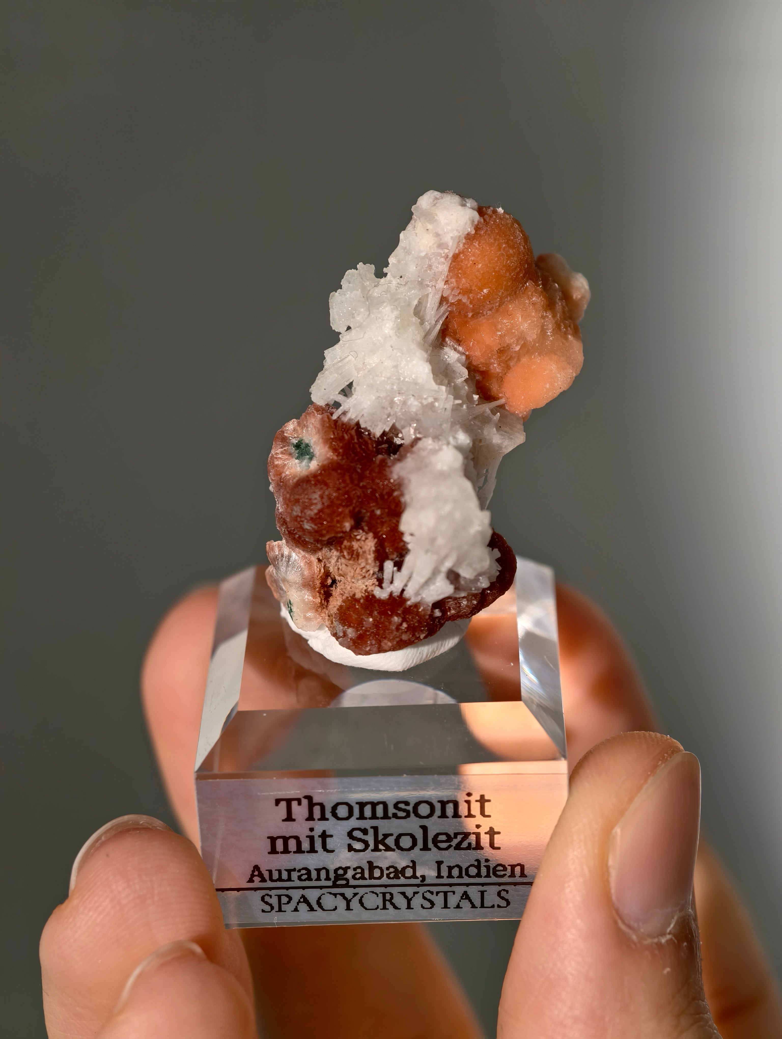 Thomsonit mit Skolezit aus Indien (Neufund)