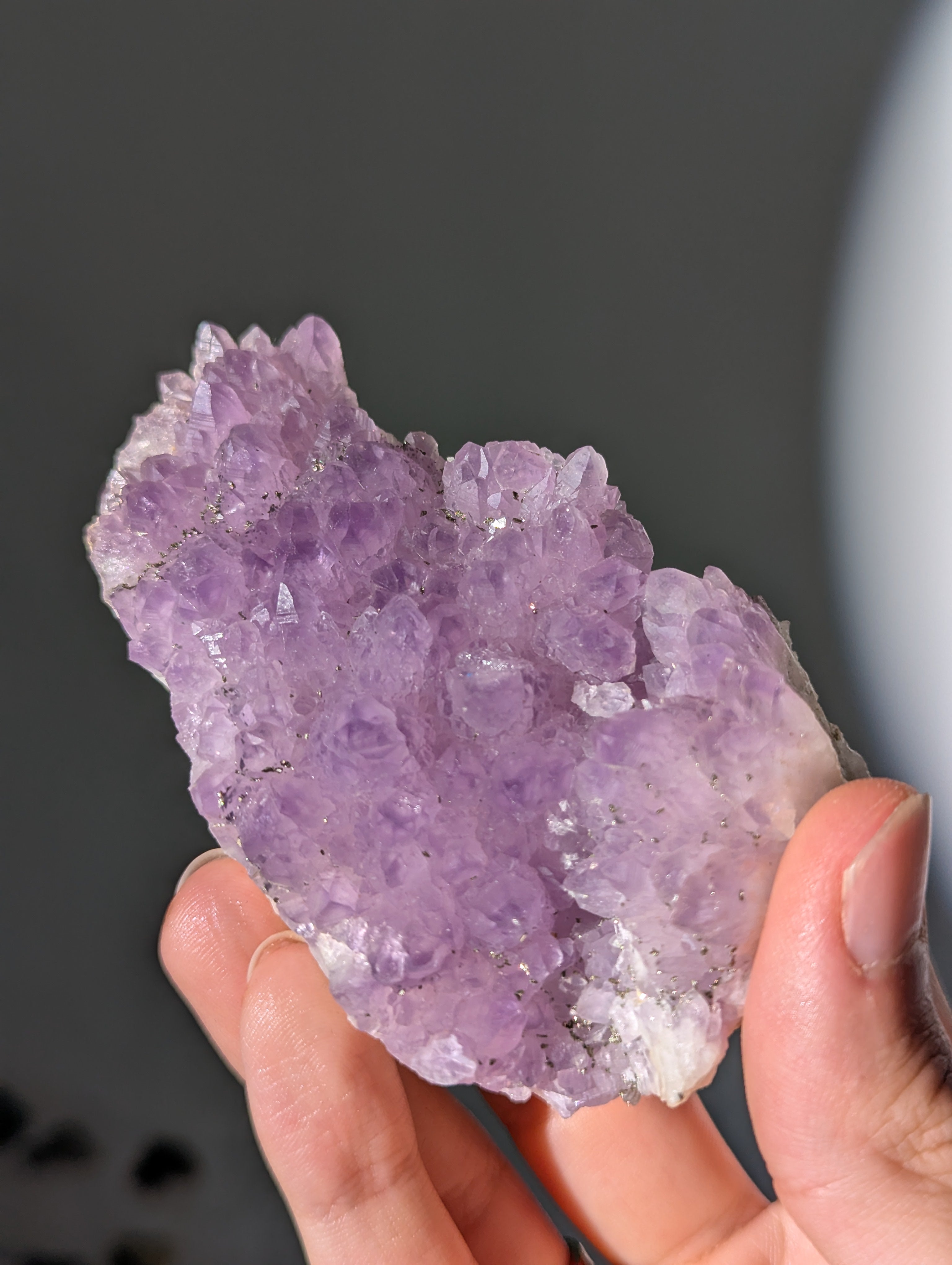 Pyrit auf Amethyst aus Bulgarien ✨