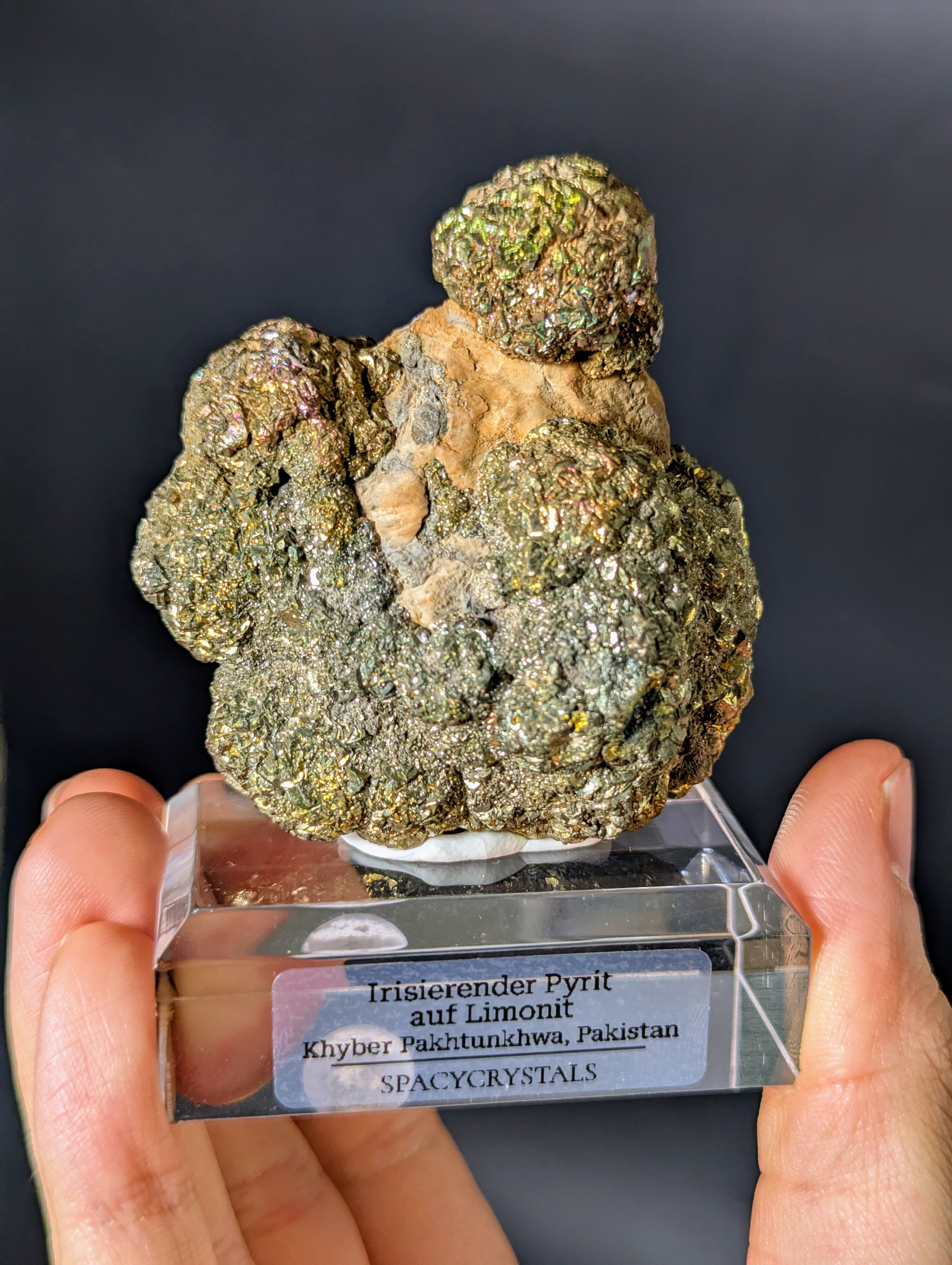 Irisierender Pyrit auf Limonit