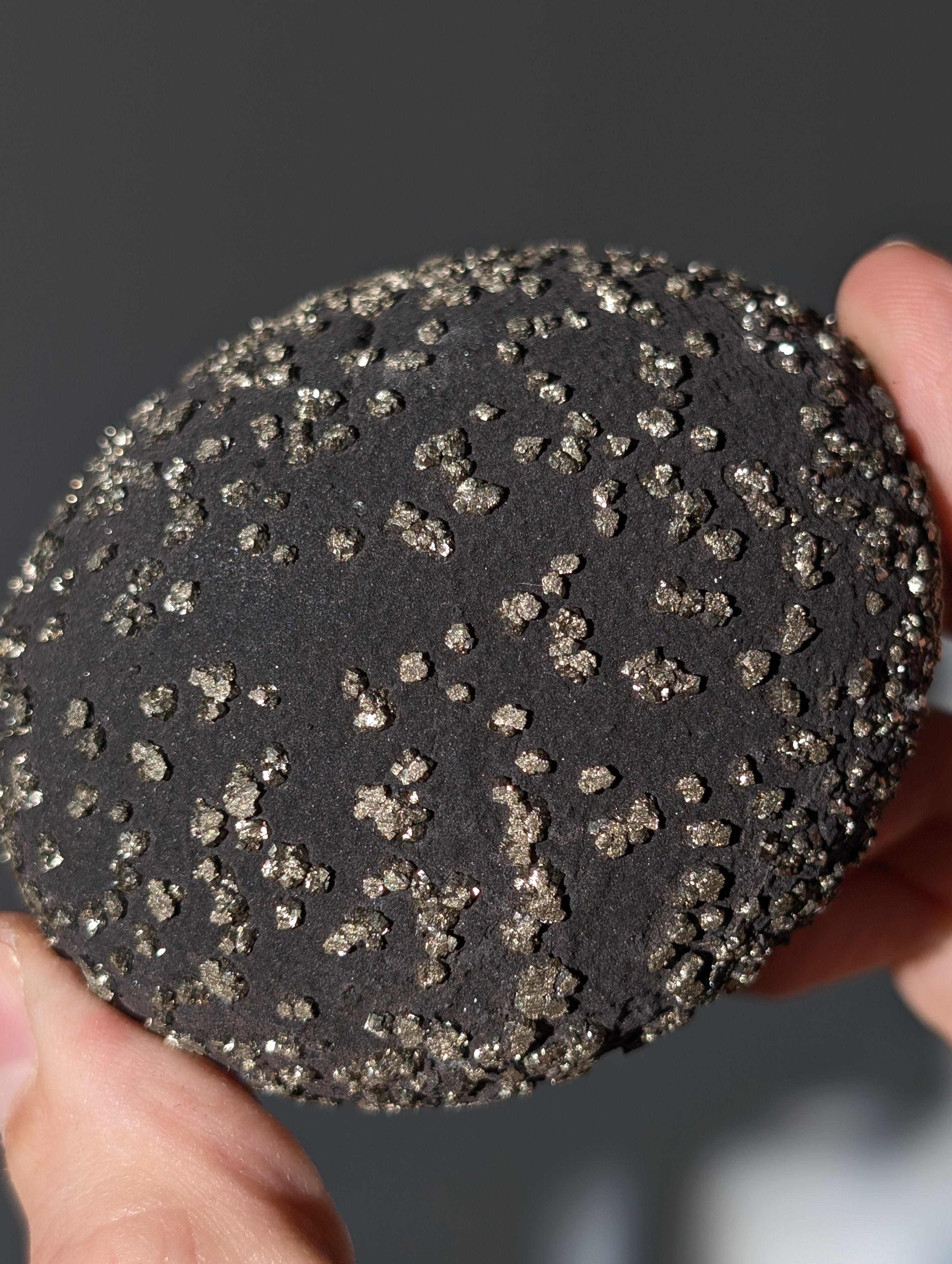 Pyrit Konkretion Schiefer Kugel