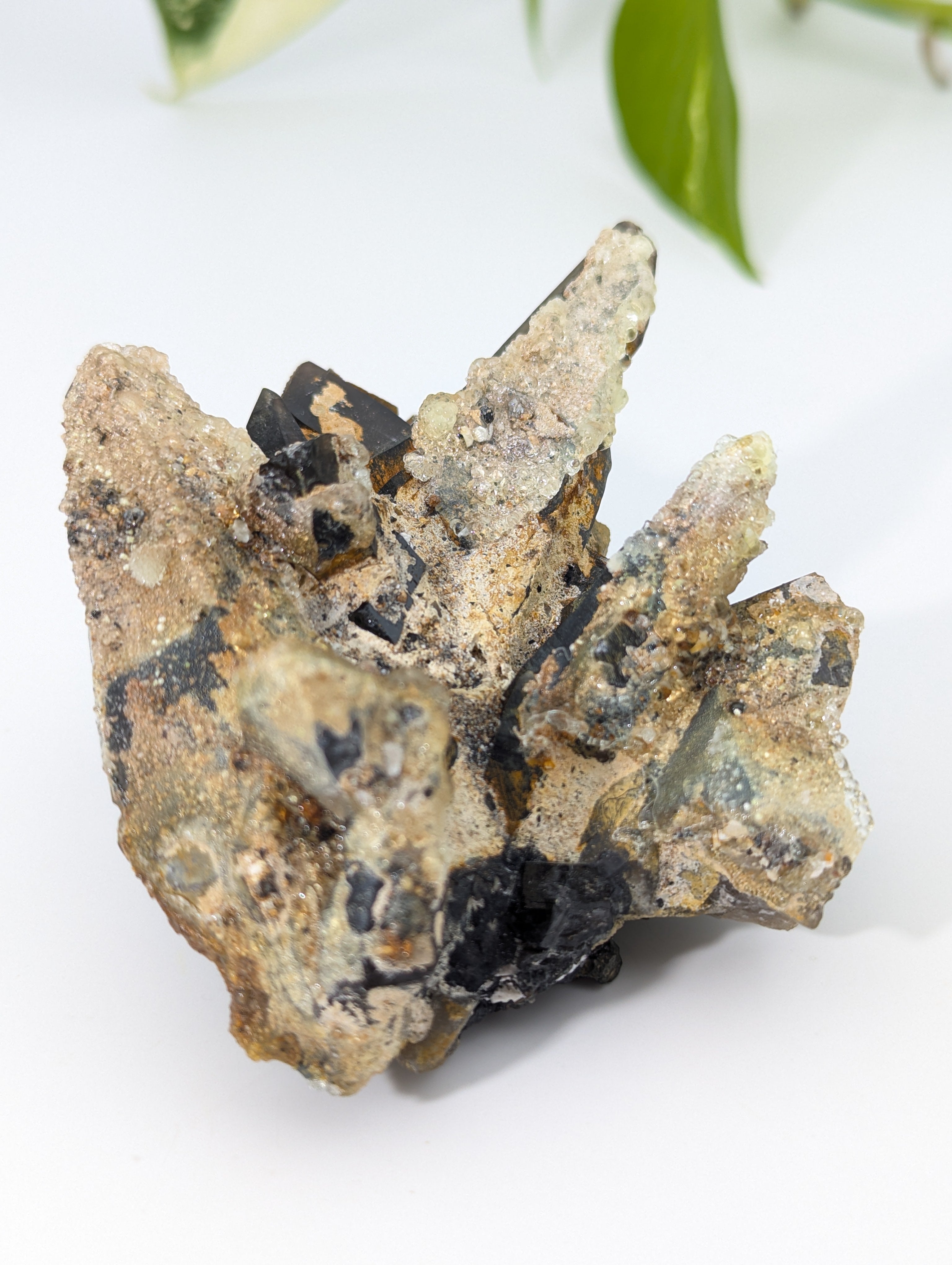 Rauchquarz Cluster mit UV-Aktivem Hyalit Opal Erongo Namibia