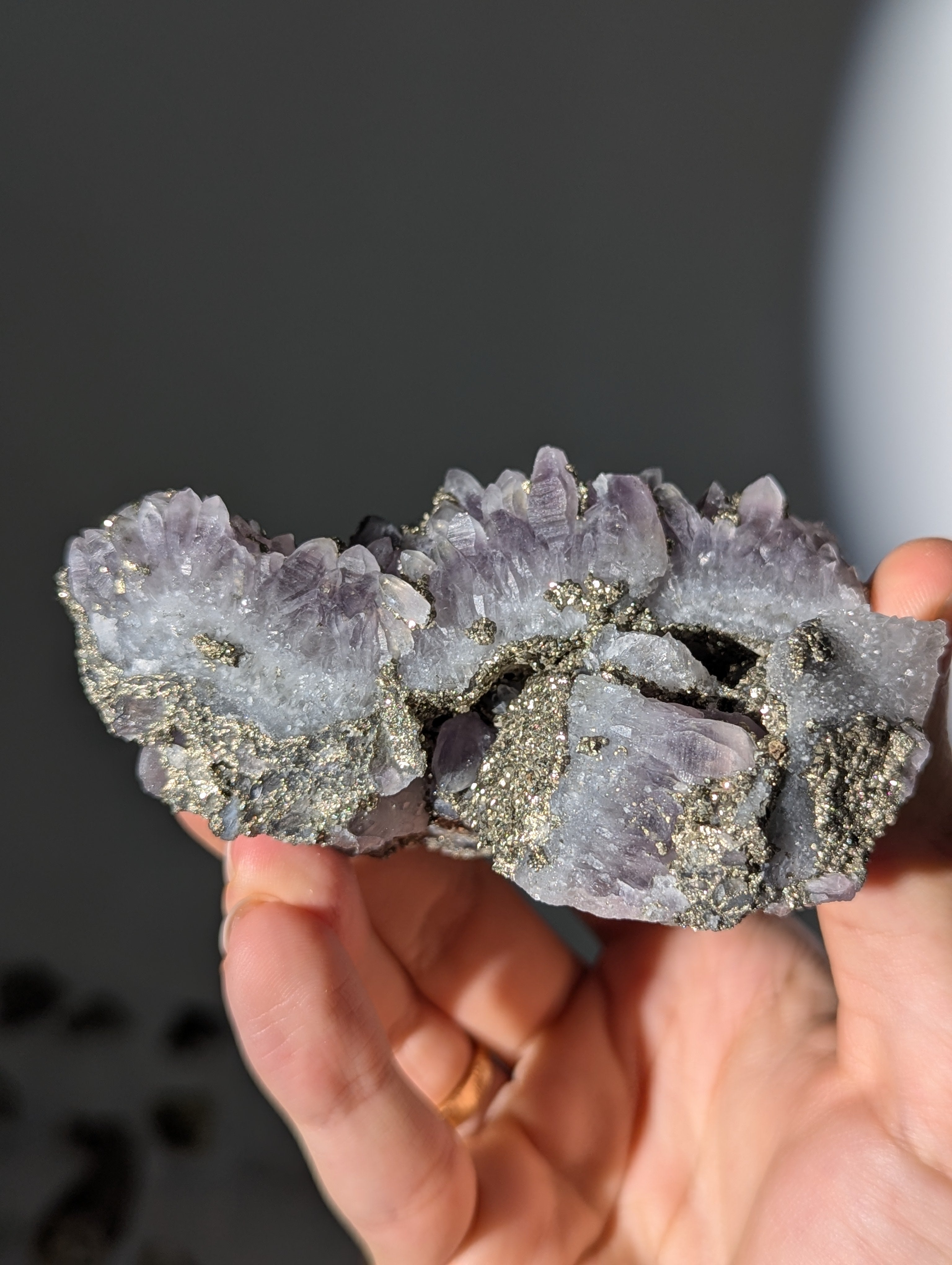 Pyrit auf Amethyst aus Bulgarien ✨