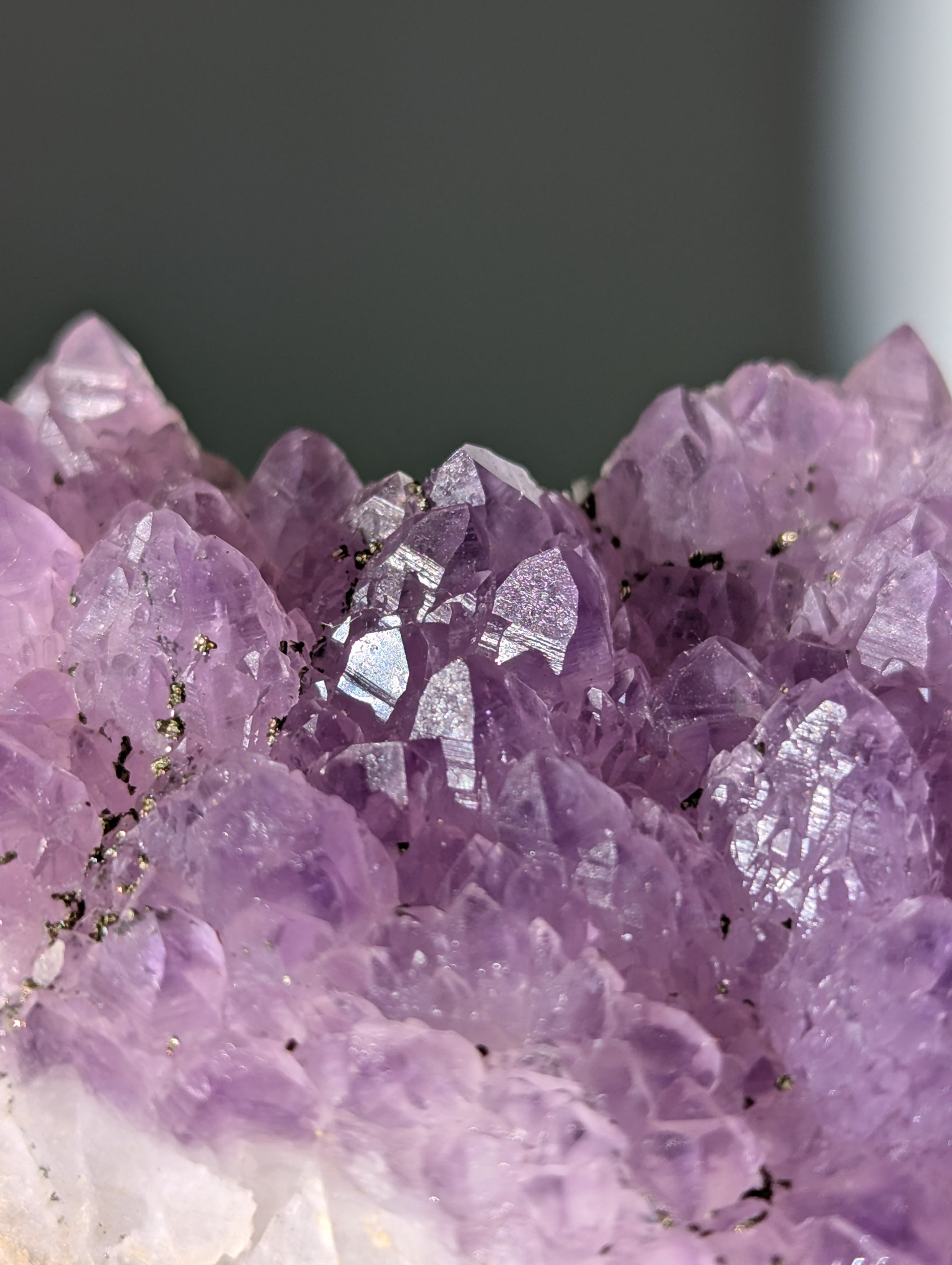 Pyrit auf Amethyst aus Bulgarien ✨